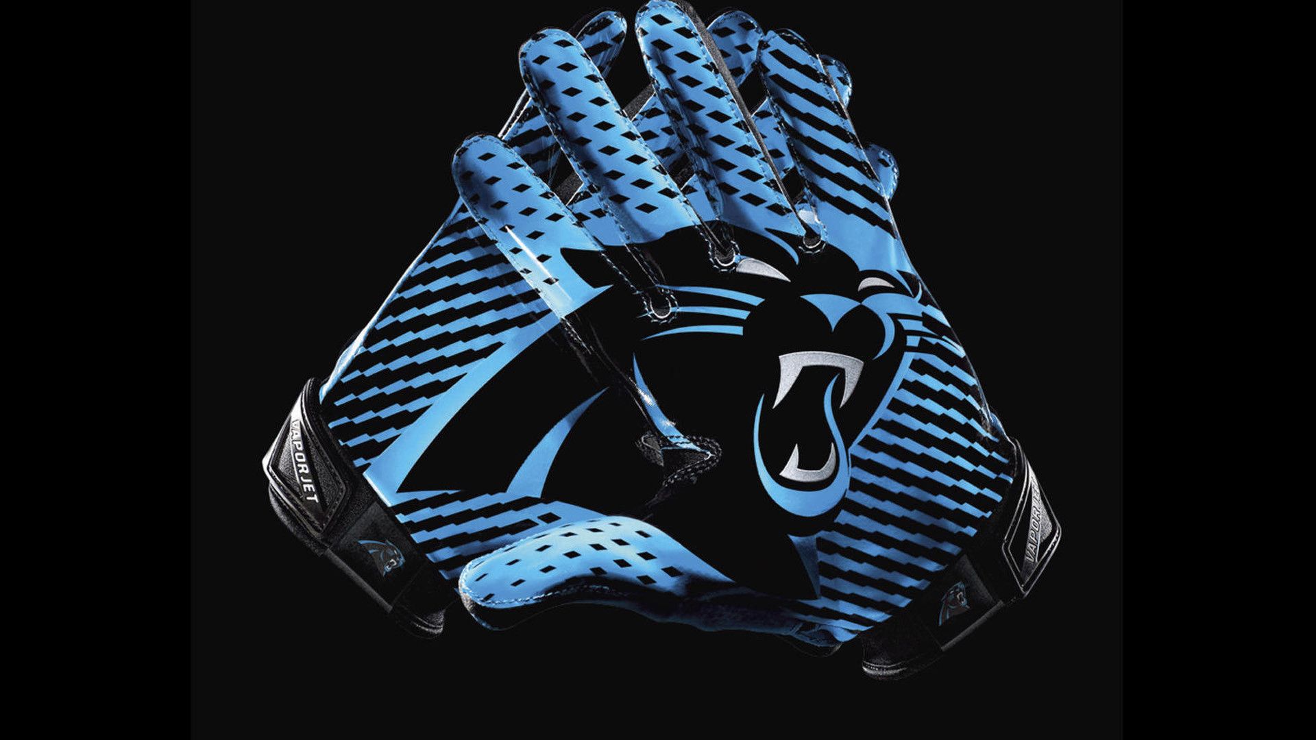 Logo Carolina Panthers NFL, 1024x768 HD, Desktop