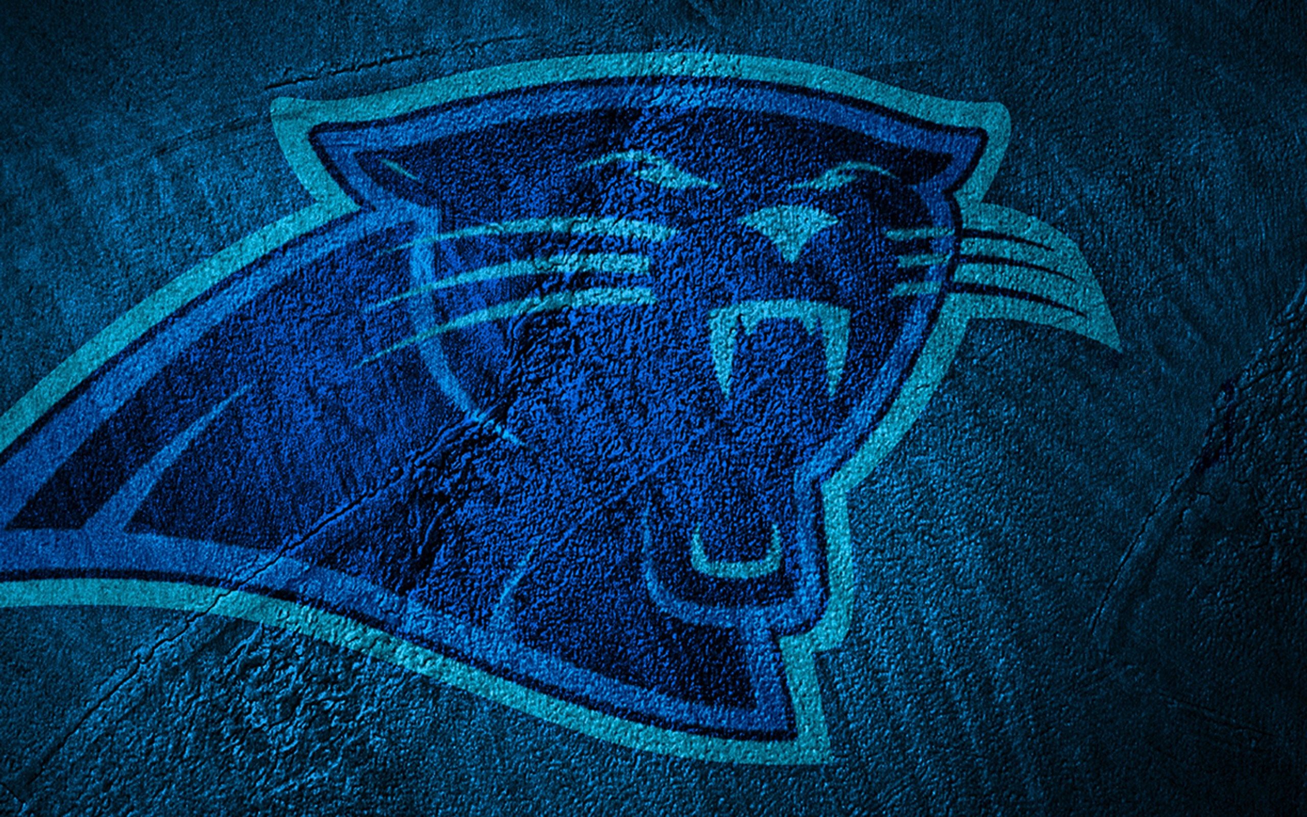Logo Carolina Panthers NFL, 1244x700 HD, Desktop