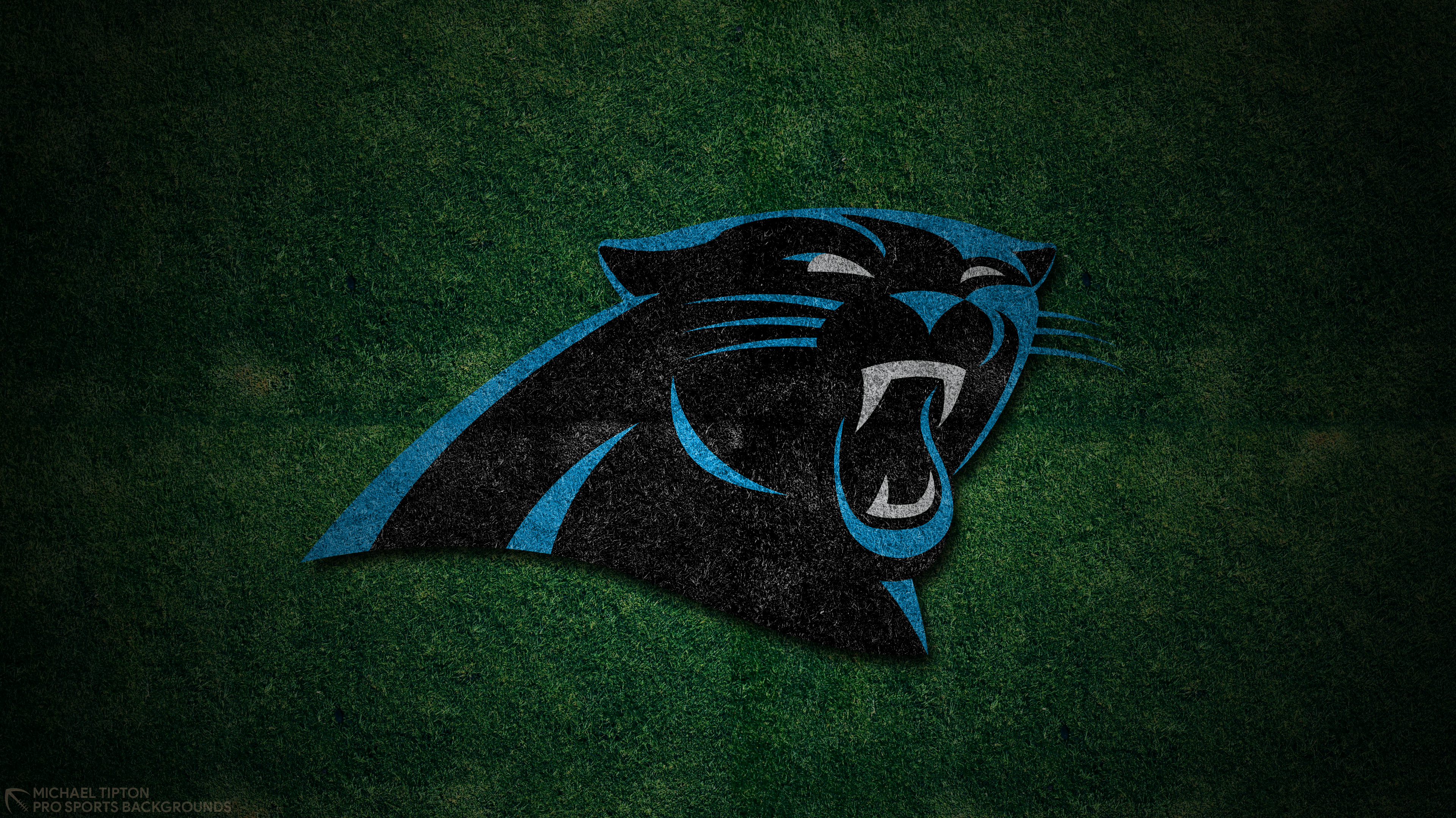 Guanti Carolina Panthers logo, 1920x1080 1080p, PC