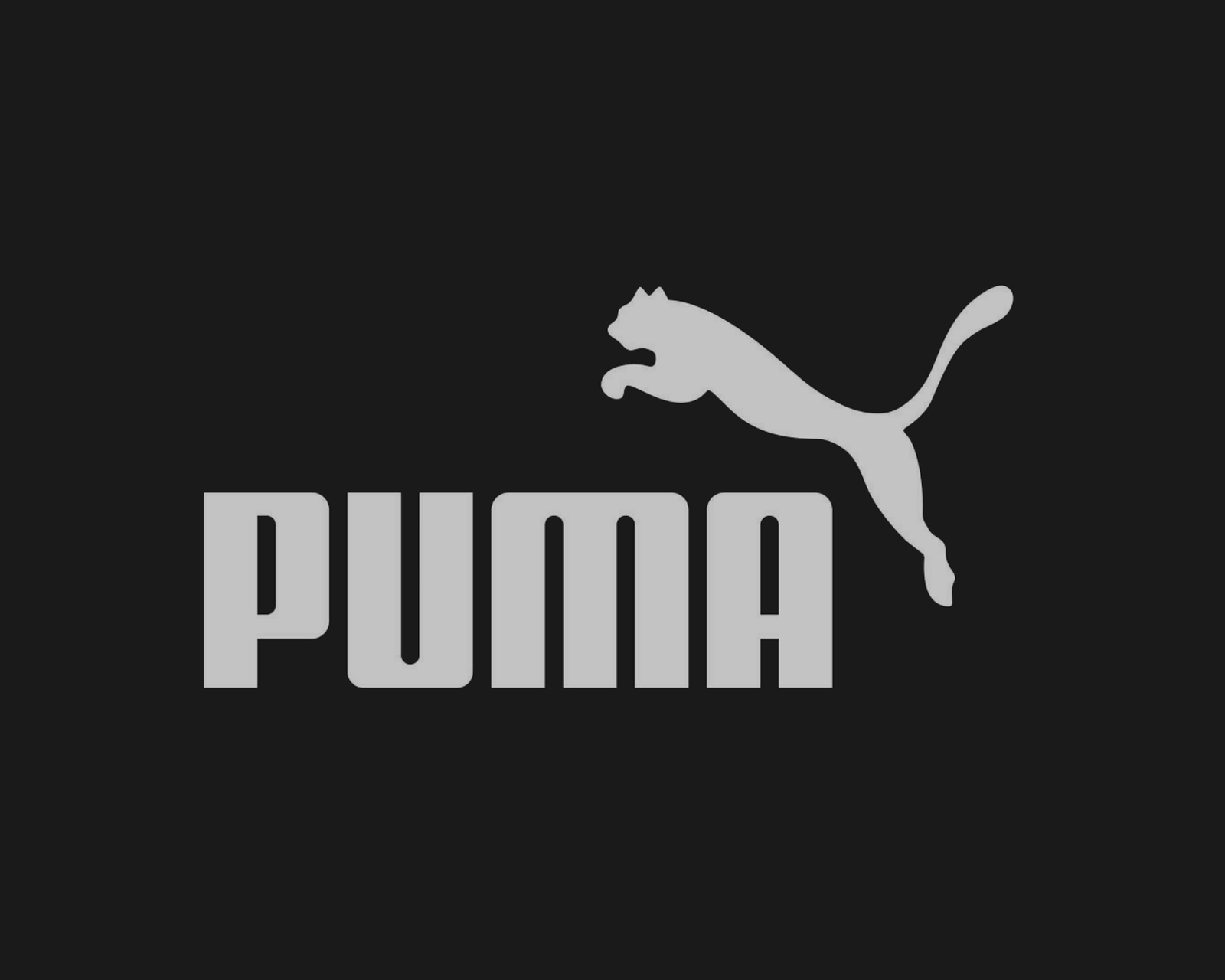 Logo Puma grigio nero, 1600x1280 900p, PC