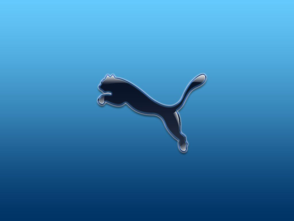 Logo Puma su blu, 1024x768 HD, Desktop
