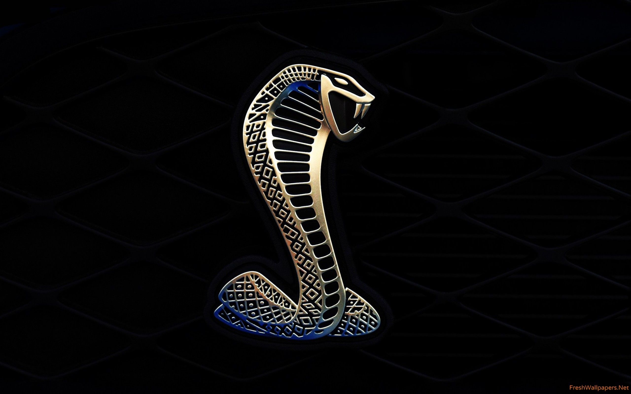 Logo cobra Shelby dorato, 2560x1600 WQXGA, Desktop