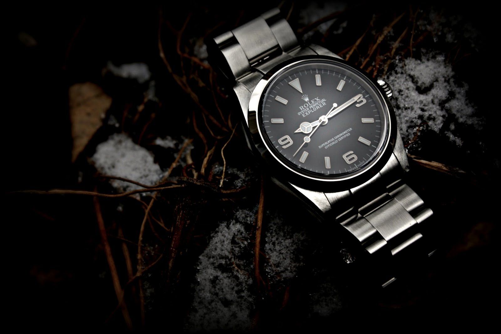 Orologio Rolex acciaio su rami, 1600x1067 HD Ready, Desktop