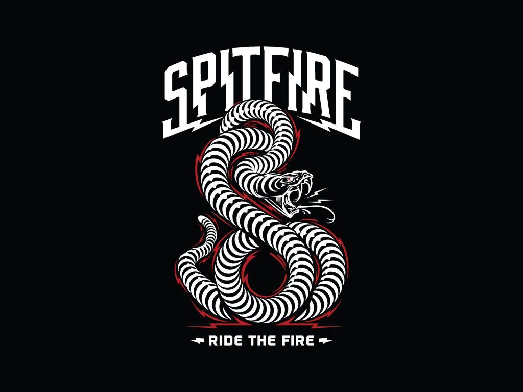 Logo Spitfire teschio fiamma galassia, 1000x1000 HD, Laptop