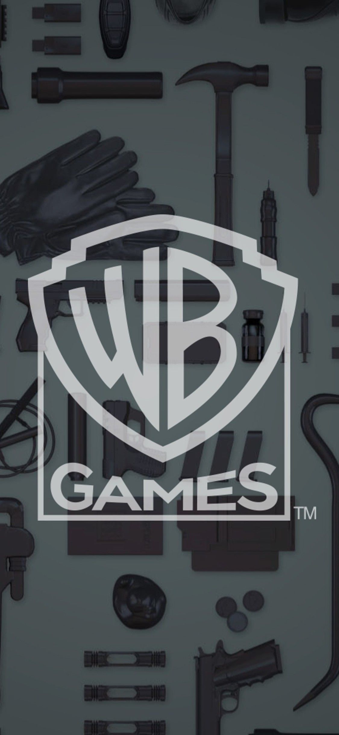 Logo scudo Warner Bros, 1024x768 HD, Desktop