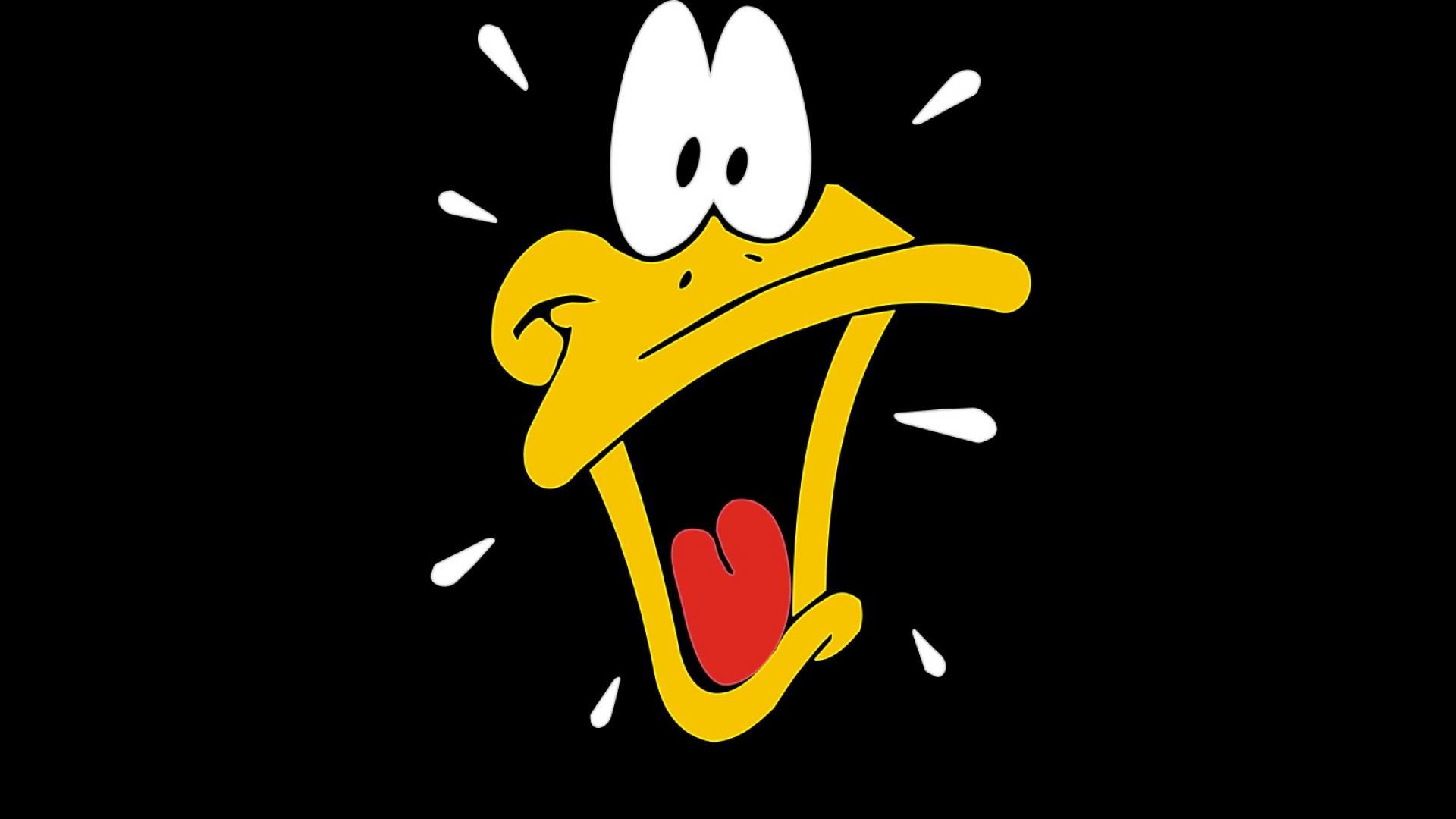Logo Warner Bros con Bugs Bunny, 1241x698 HD, Desktop