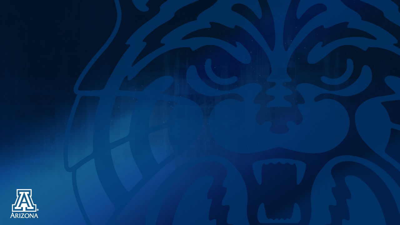 Logo Arizona Wildcats blu, 1280x720 720p, PC