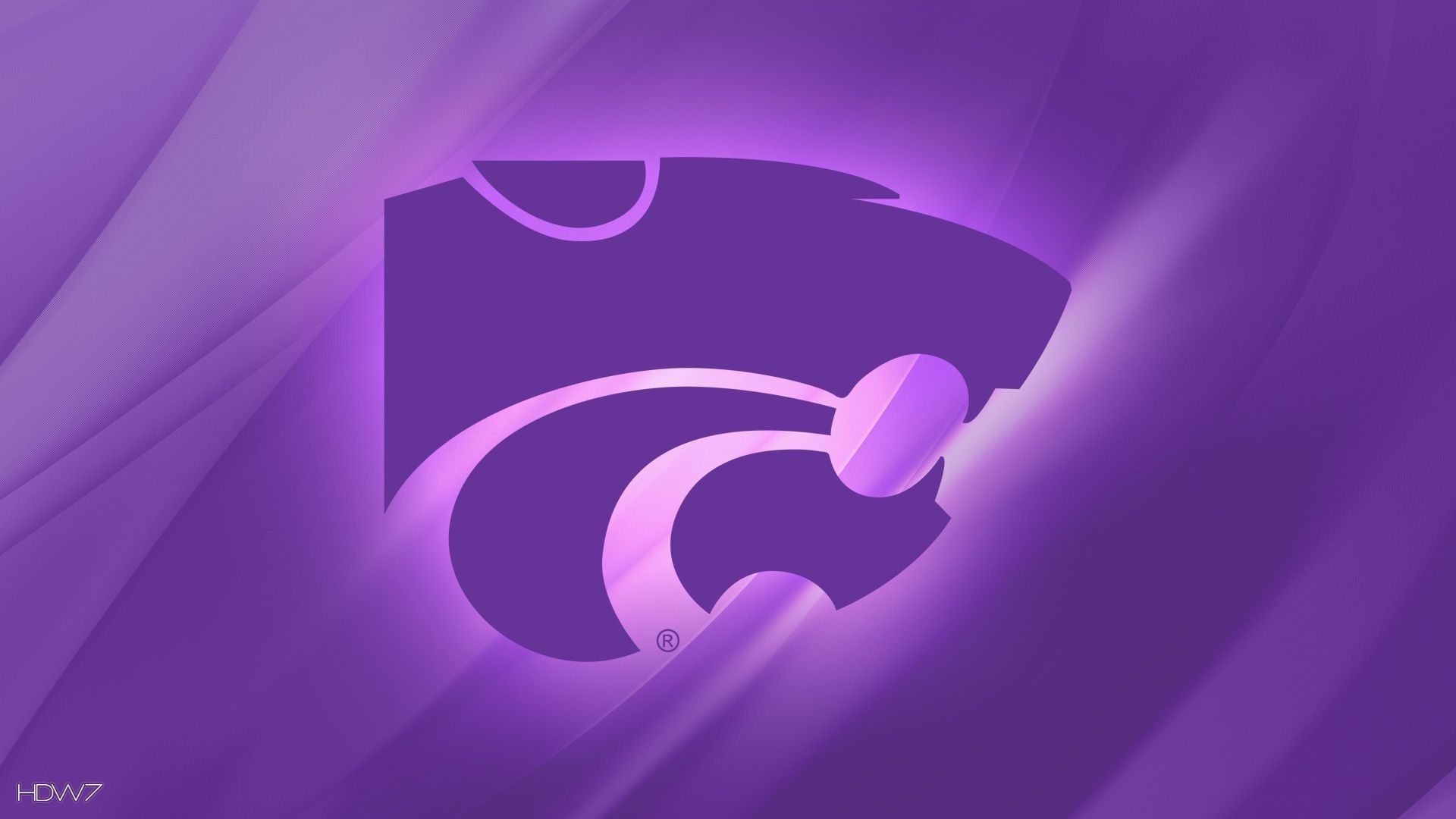 Logo Wildcats viola, 1920x1080 Full HD, PC Desktop