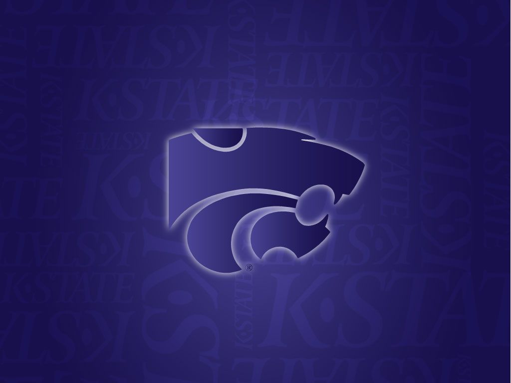 Logo Wildcats testa gatto viola, 1024x768 HD, Laptop