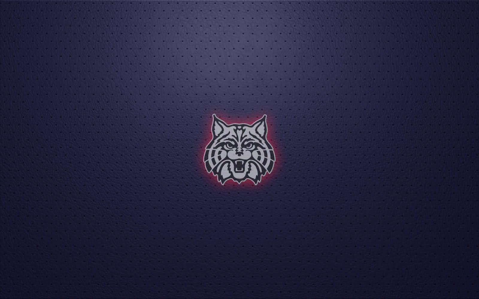 Logo Wildcats testa gatto, 1600x1000 HD Ready, Desktop