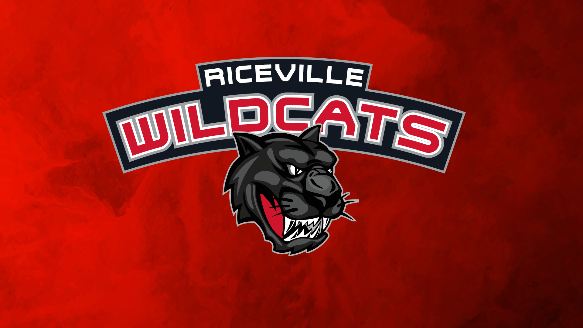 Logo Riceville Wildcats pantera nera, 1920x1080 Full HD 1080p, Desktop