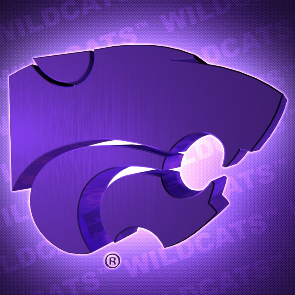 Logo Wildcats testa gatto viola, 1024x1024 HD, PC Desktop