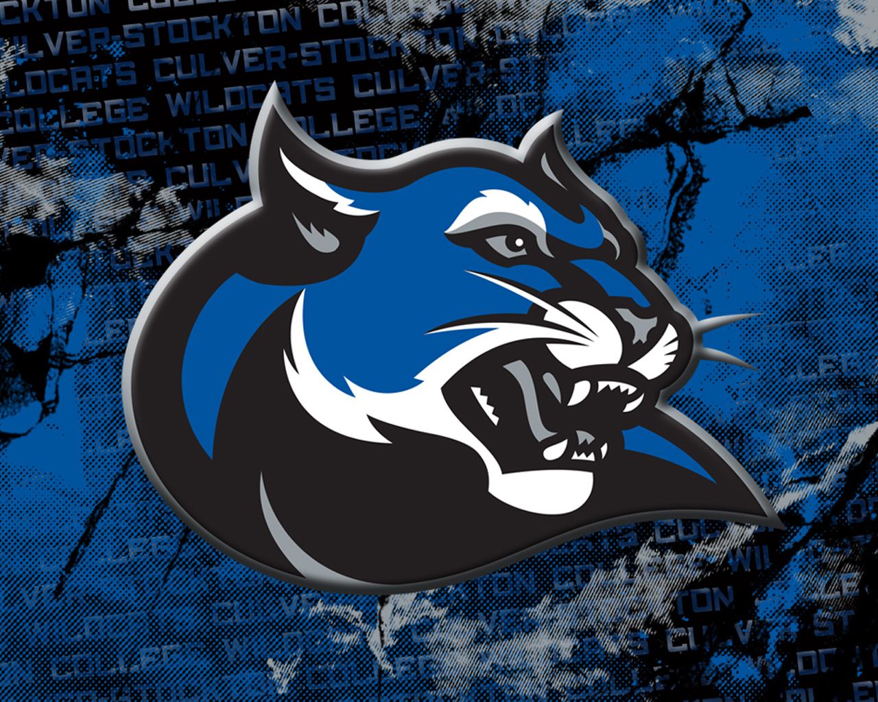 Logo Wildcats testa pantera blu, 1280x1024 HD, Desktop