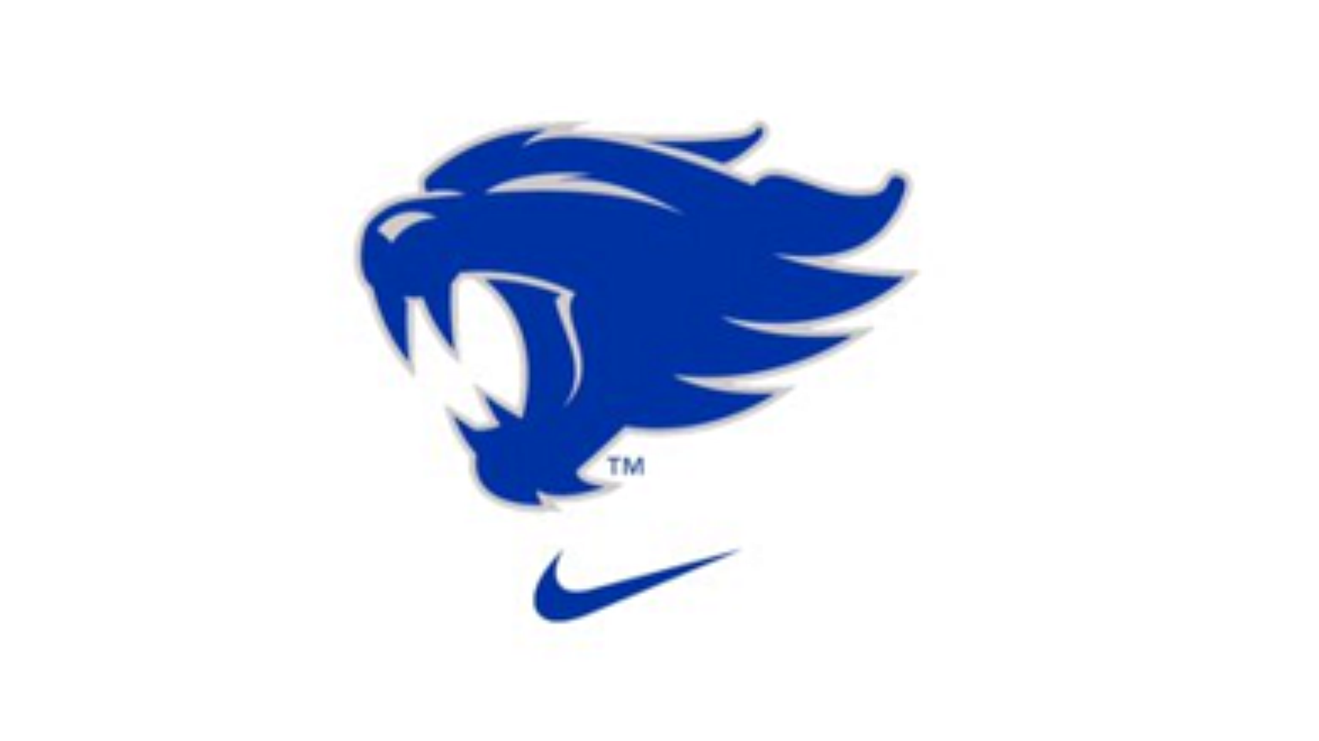 Logo Wildcats testa felino blu, 1920x1080 Full HD, Desktop