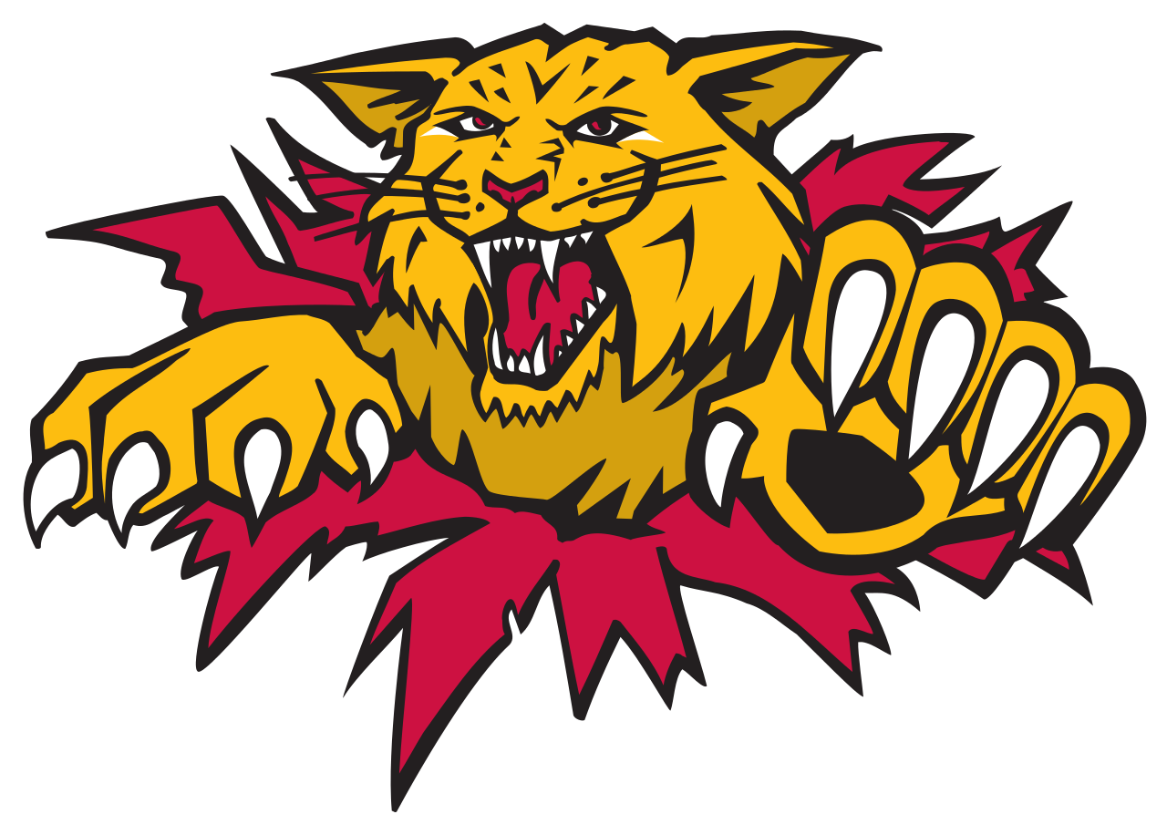 Logo Wildcats gatto selvatico, 1280x916 720p, Laptop