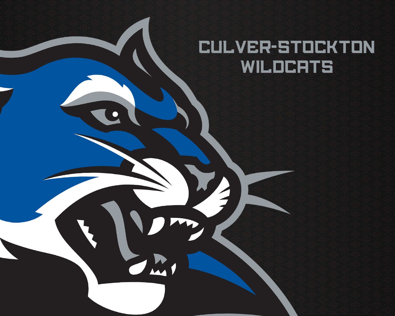 Logo Wildcats Culver-Stockton College, 1280x1024 HD, Desktop