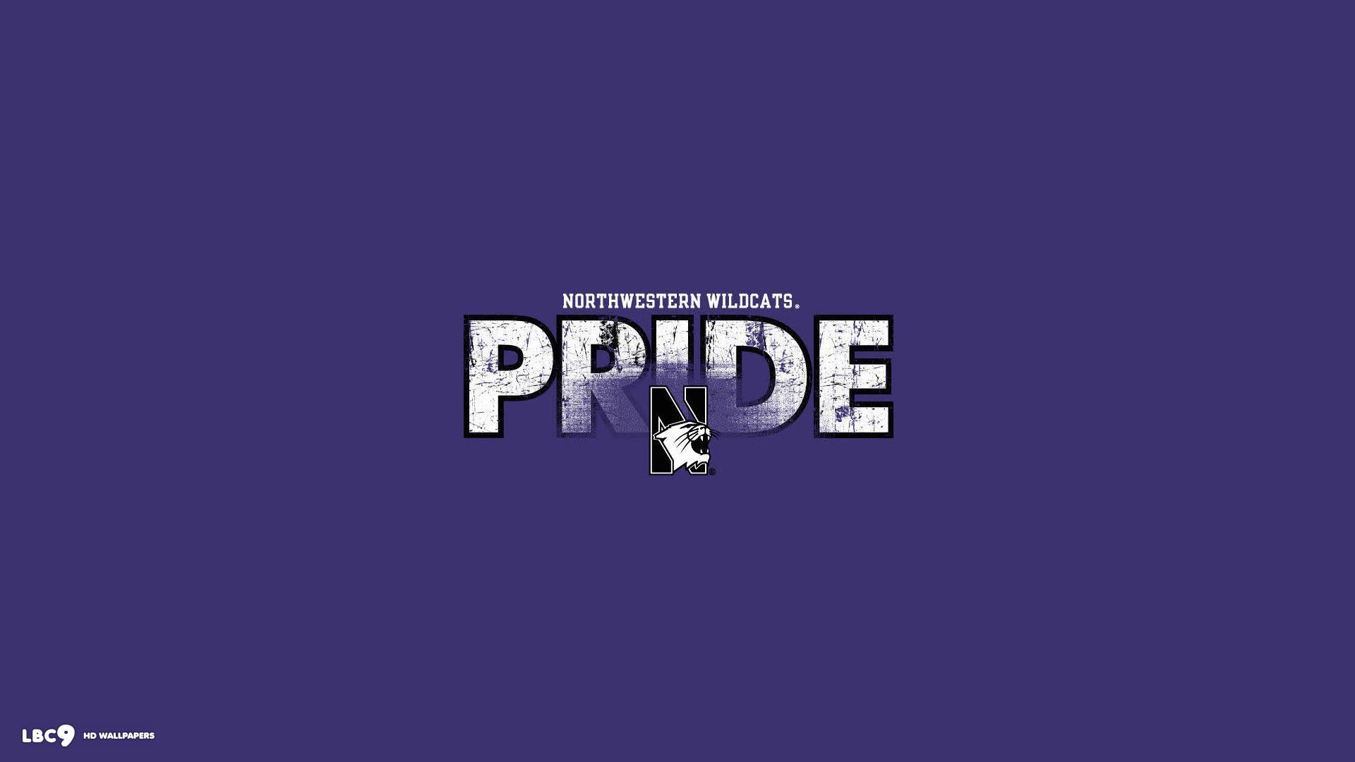 Logo Northwestern Wildcats Pride, 1920x1080 Full HD, Laptop