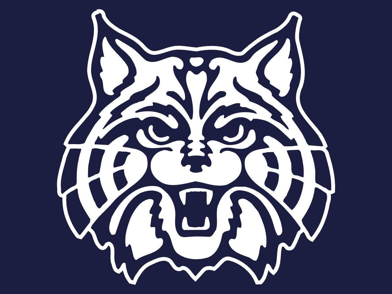 Logo Wildcats Arizona blu, 1365x1024 720p, PC