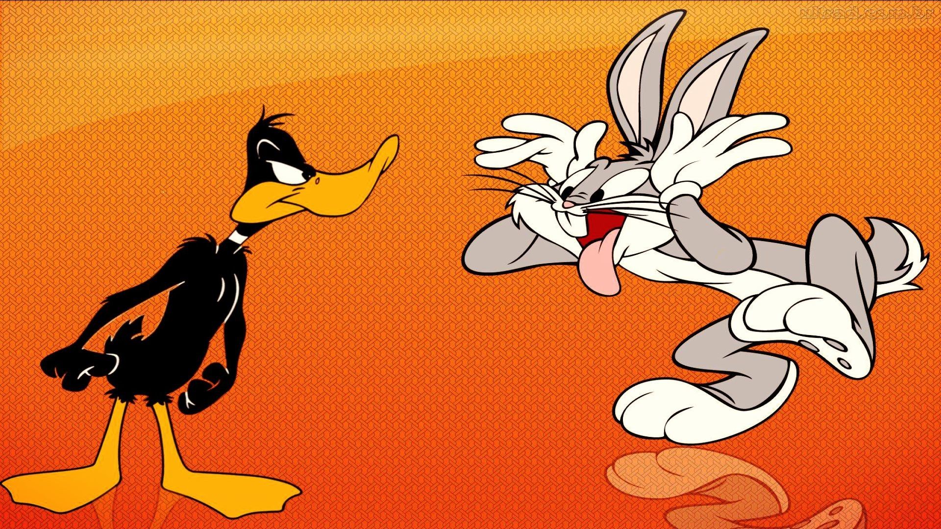 Bugs Bunny e Lola Bunny basket, 1024x768 HD, PC