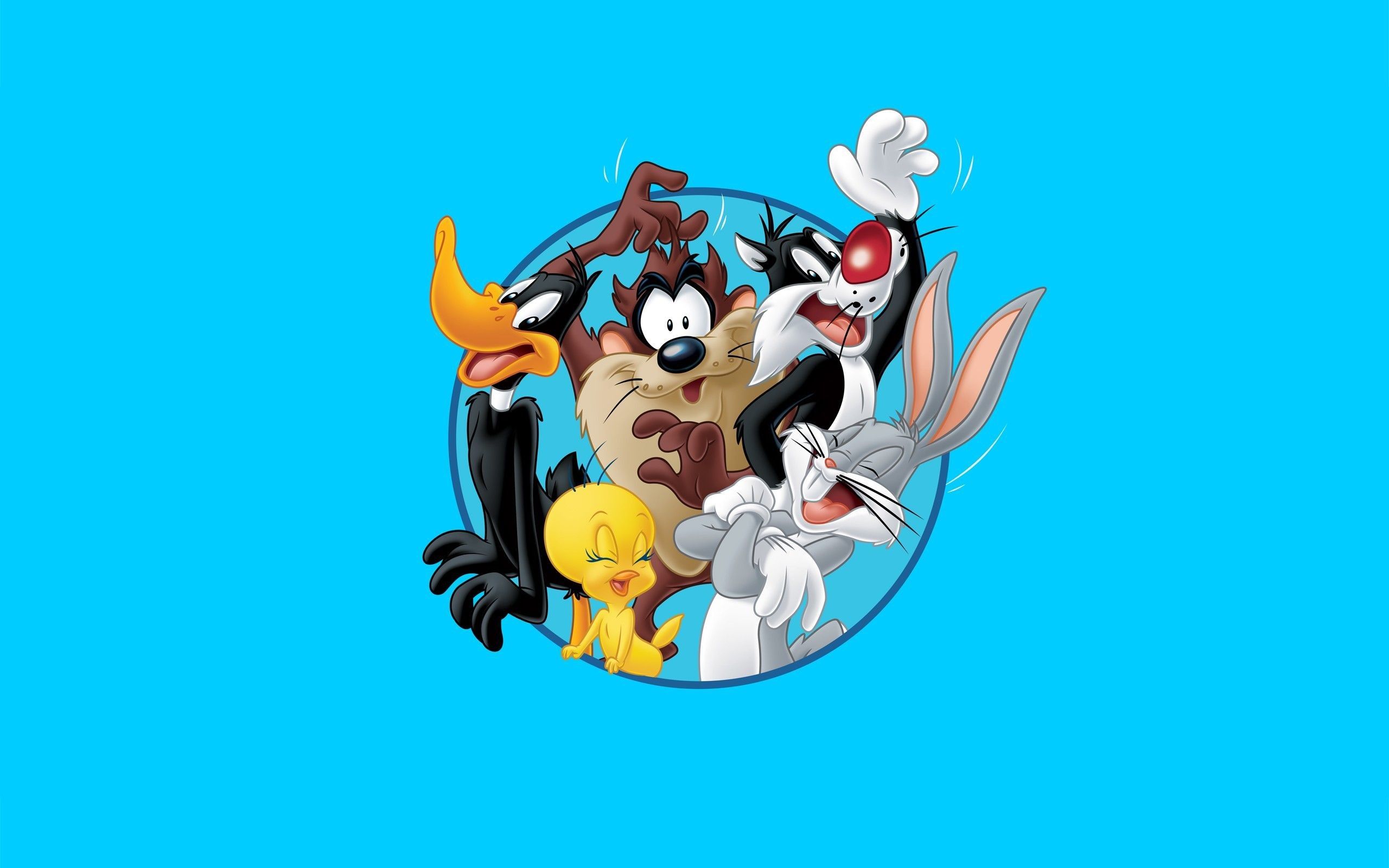 Looney Tunes personaggi cerchio blu, Warner Bros, 2560x1600 2K, PC