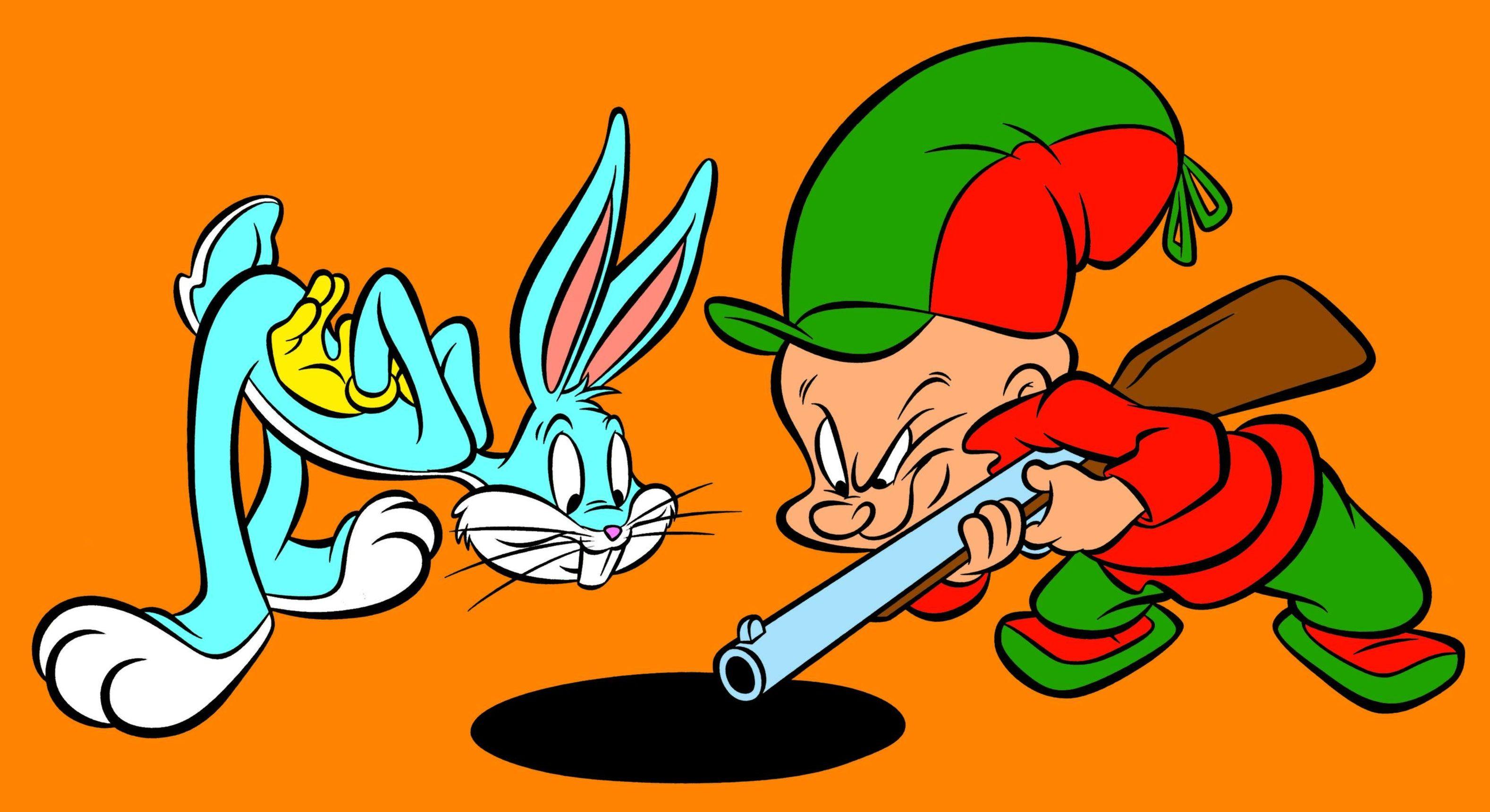 Bugs Bunny ed Elmer Fudd, 3156x1721 WQXGA, Monitor Gaming