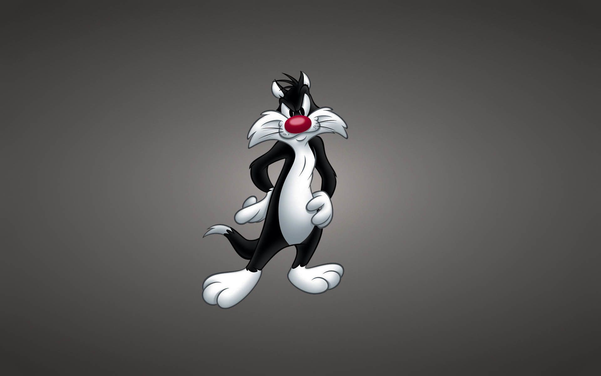 Titti gatto Silvestro sfondo grigio, 1920x1200 Full HD+, PC Desktop