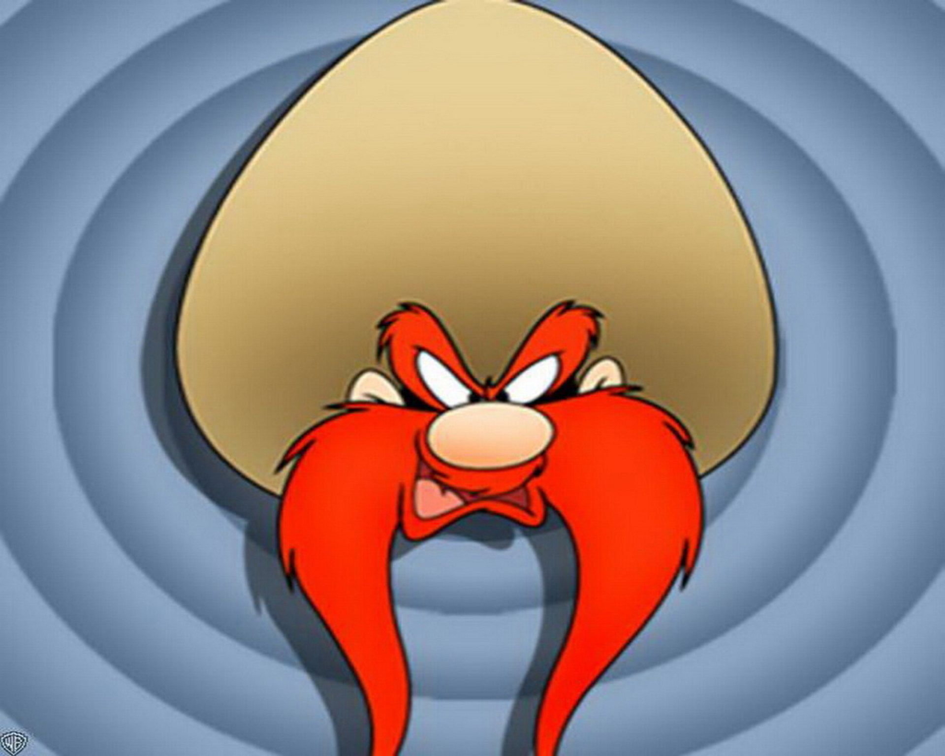 Yosemite Sam Looney Tunes, 1920x1536 Full HD+, PC