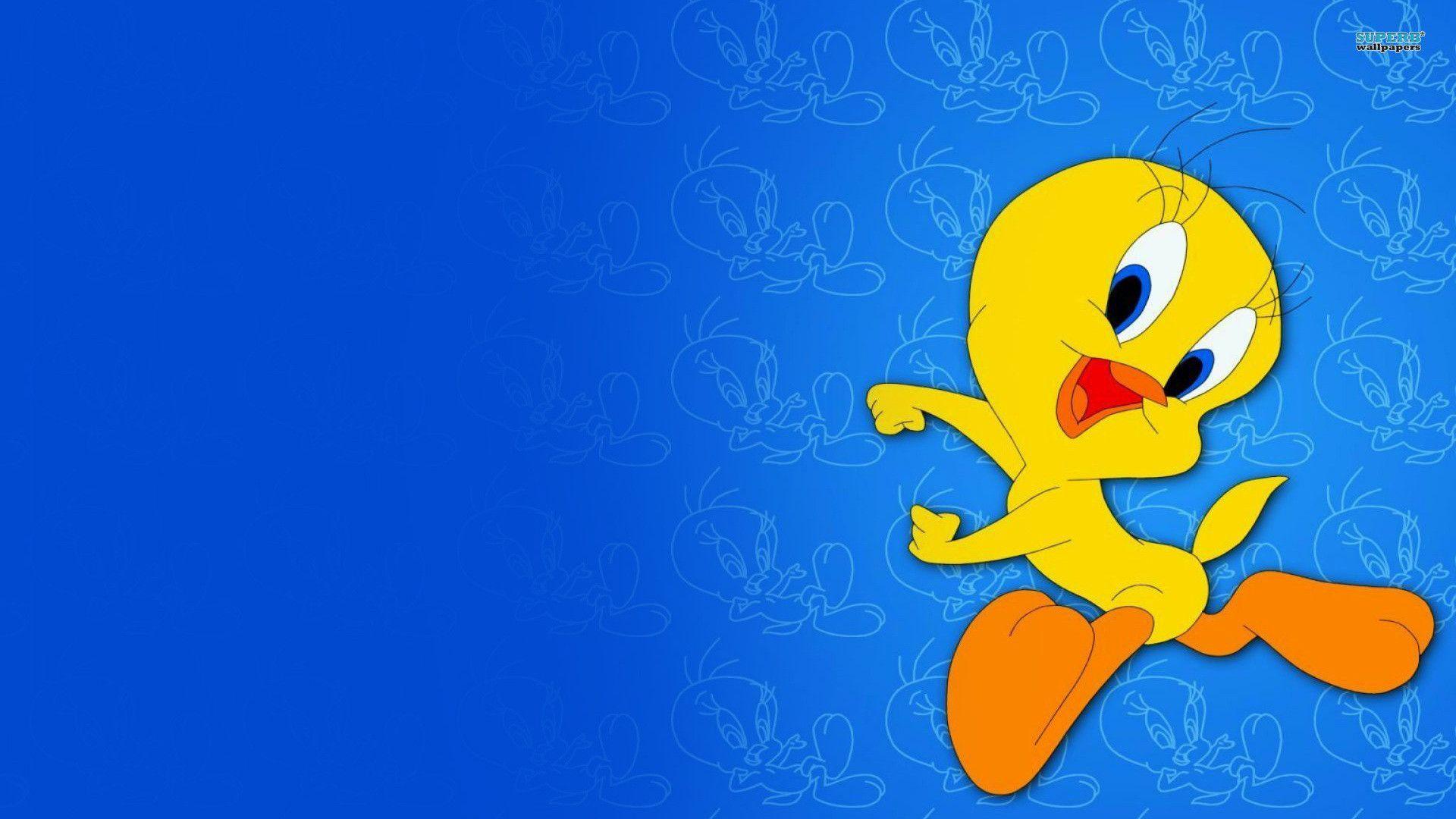 Titti Looney Tunes sfondo blu, 1920x1080 Full HD, Desktop