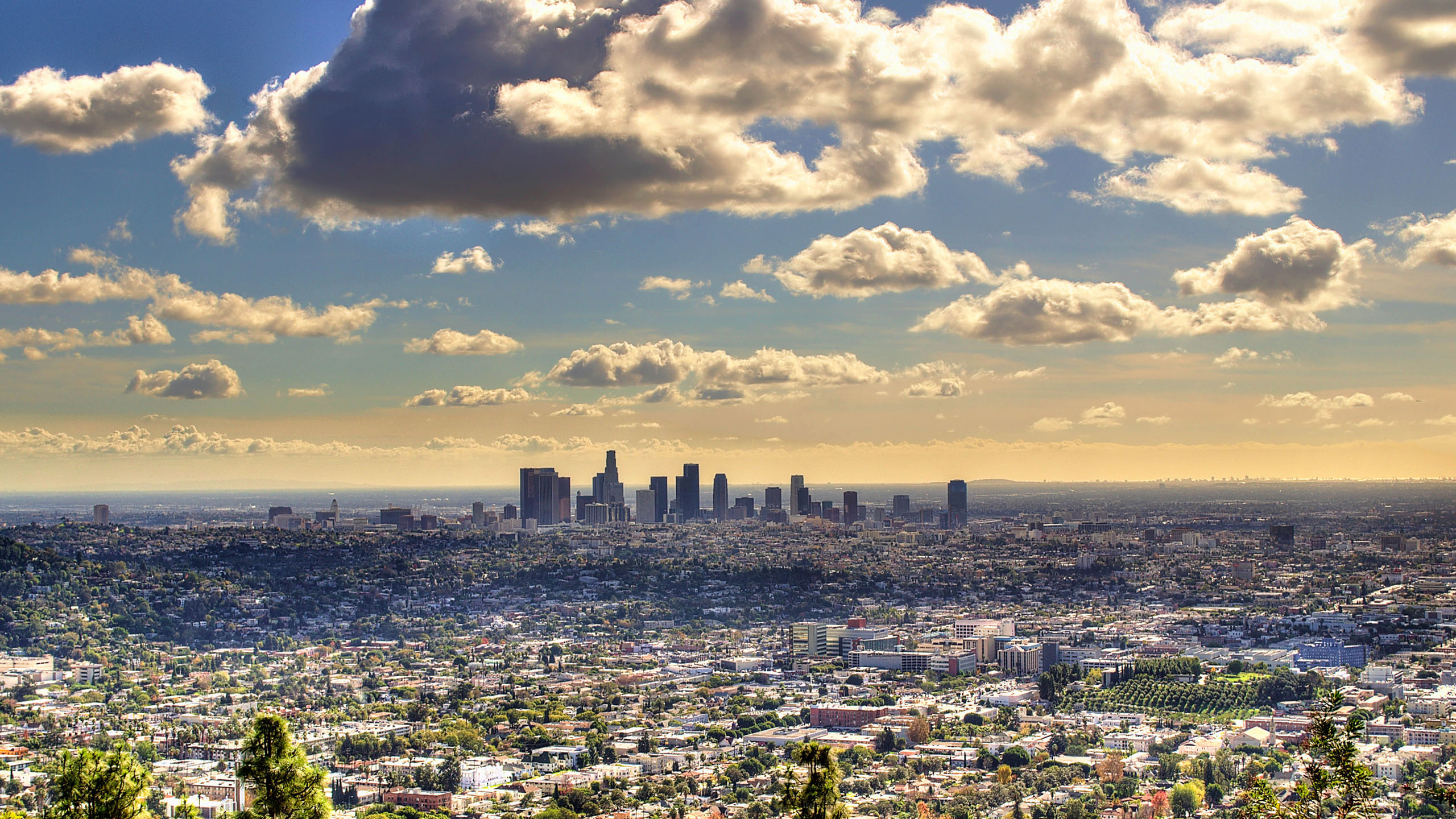 Skyline Los Angeles con palme, Hollywood, 1200x1612 Full HD Verticale, Smartphone