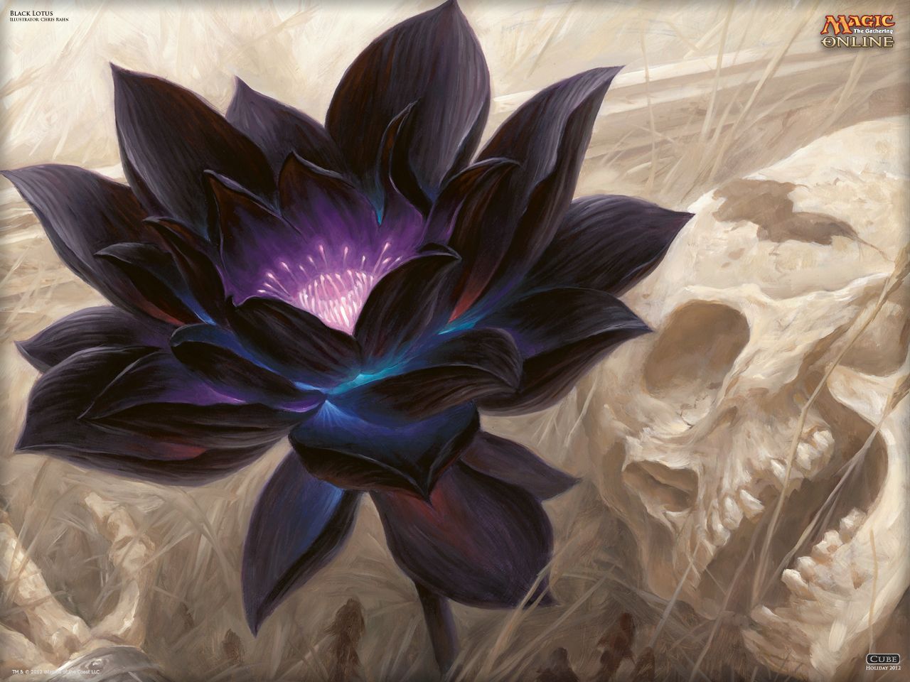 con Loto Nero, 1440x2560 Full HD Verticale, Smartphone