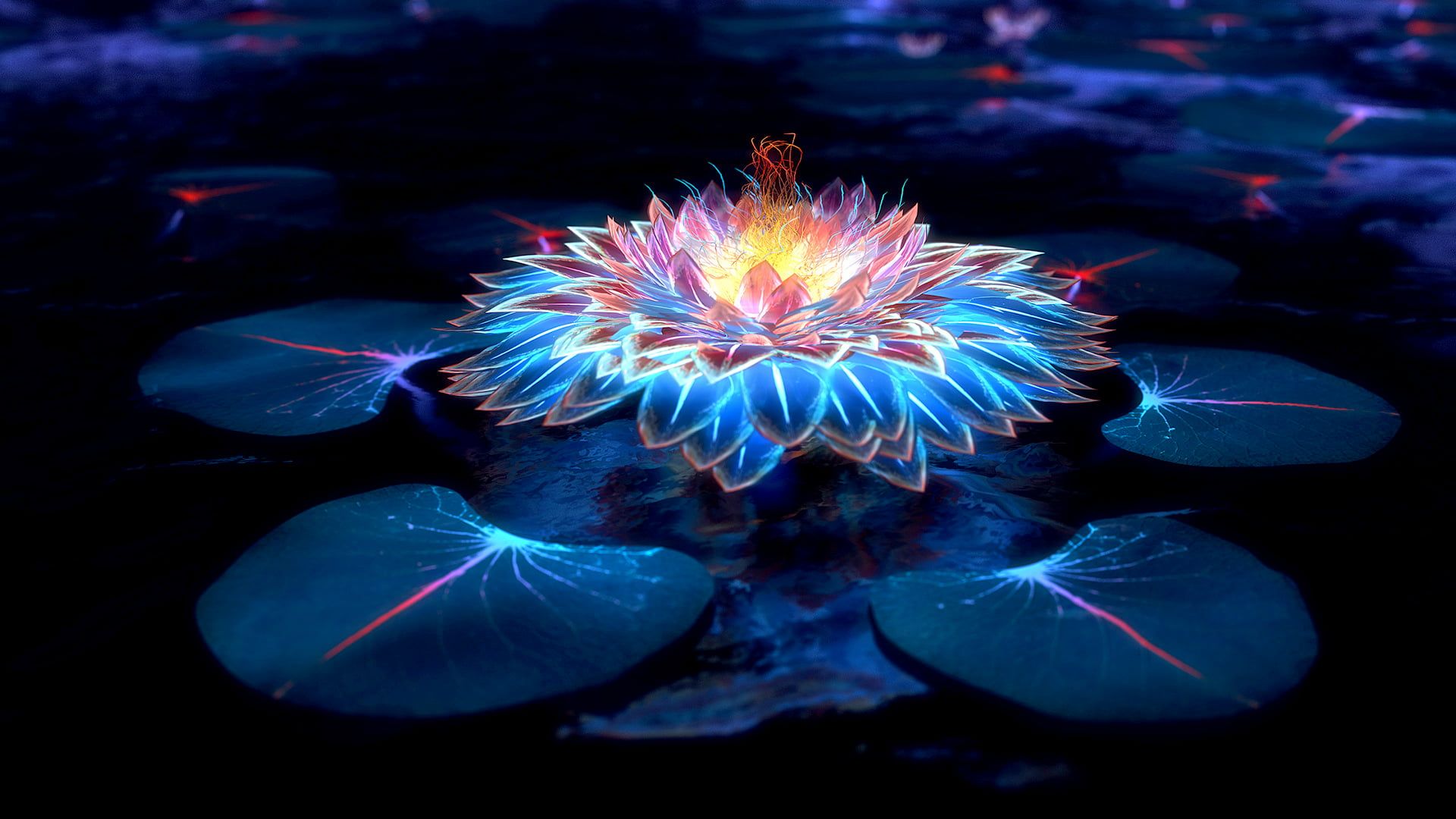 Loto nero luce viola, 1920x1080 Full HD 1080p, PC Desktop