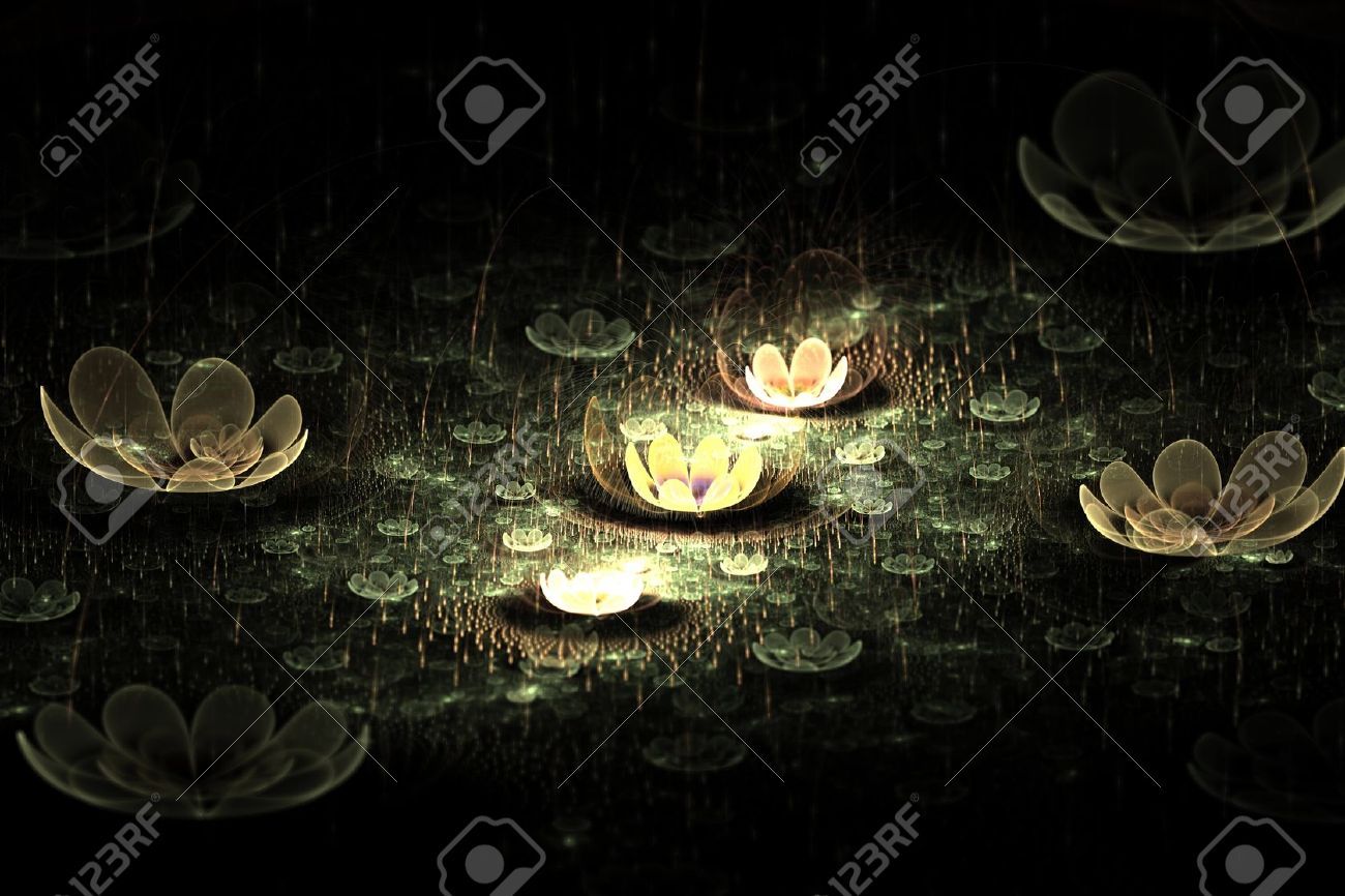 Loto nero su acqua, 1920x1080 Full HD 1080p, Desktop