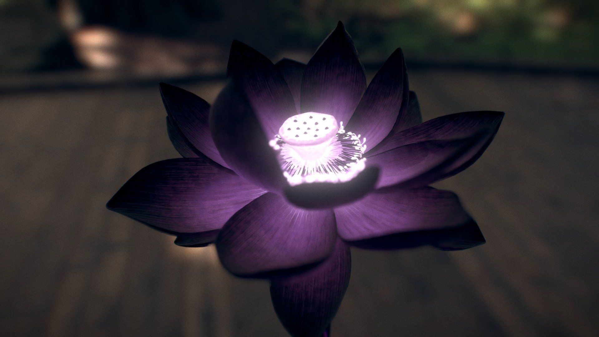 Kuroyukihime Black Lotus Accel World, 1280x960 HD, Desktop