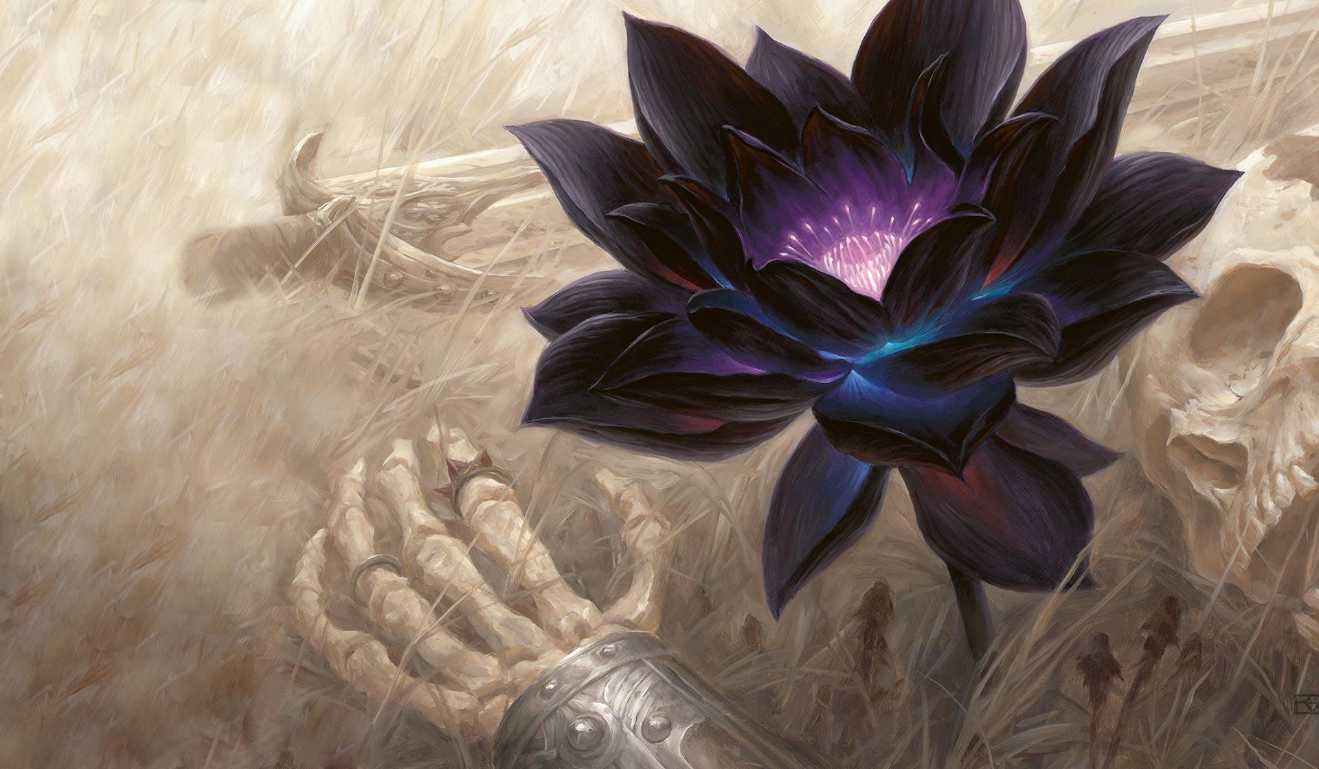 Fiore di loto nero con teschi, 1154x692 HD, Desktop