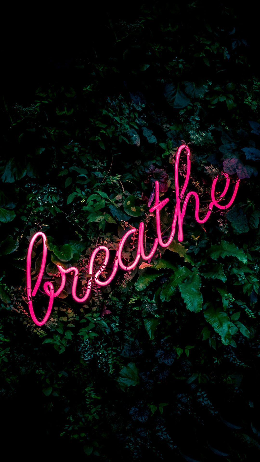 Insegna neon rosa amore, 1080x1080 HD, Desktop