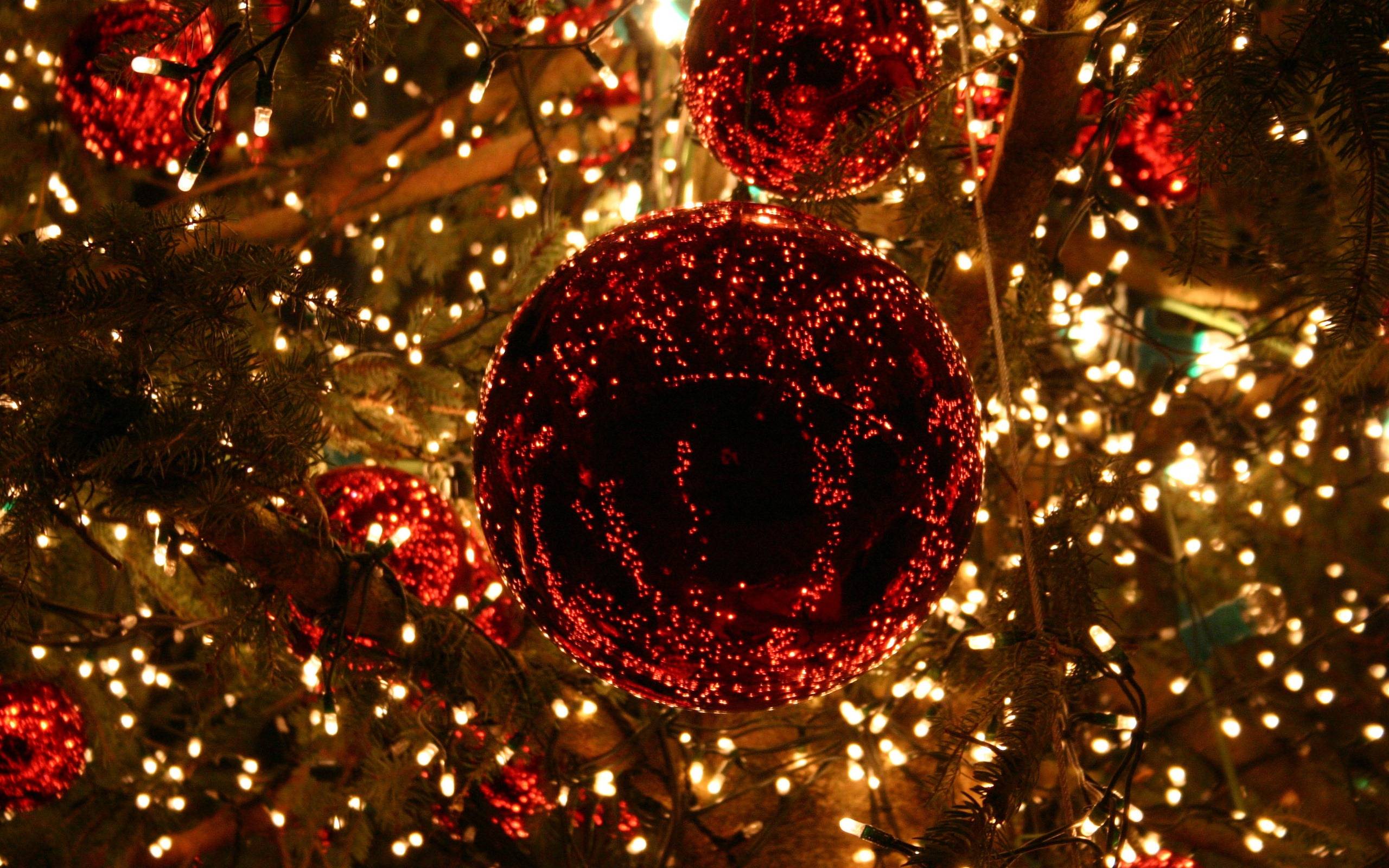 Palline rosse natalizie con luci, 2560x1600 2K+, Desktop