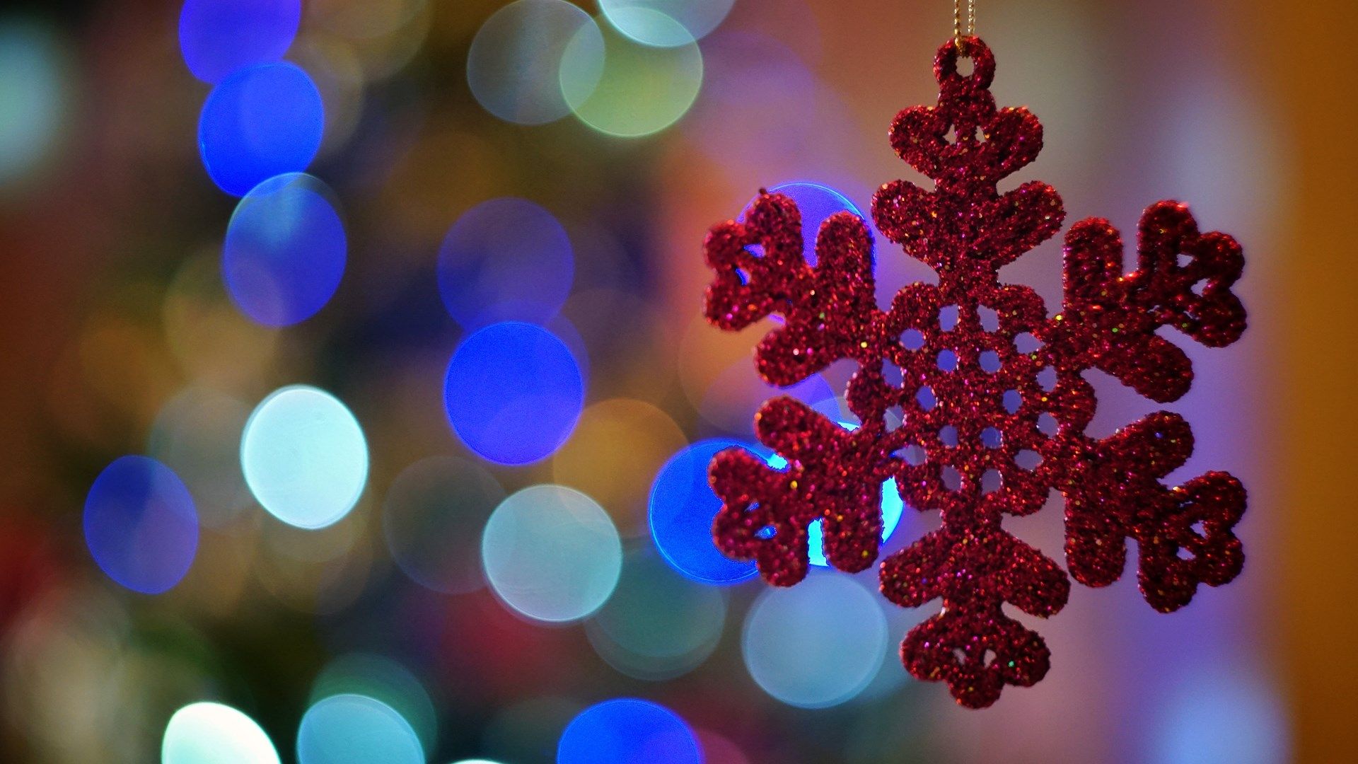con Luci delle Feste, 1920x1080 1080p, Desktop