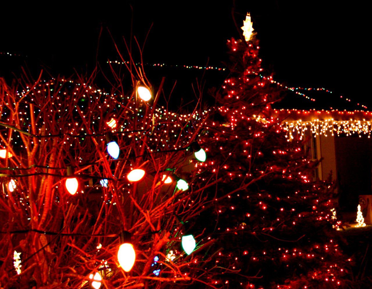 Albero e luci natalizie rosse, 1280x993 720p, PC