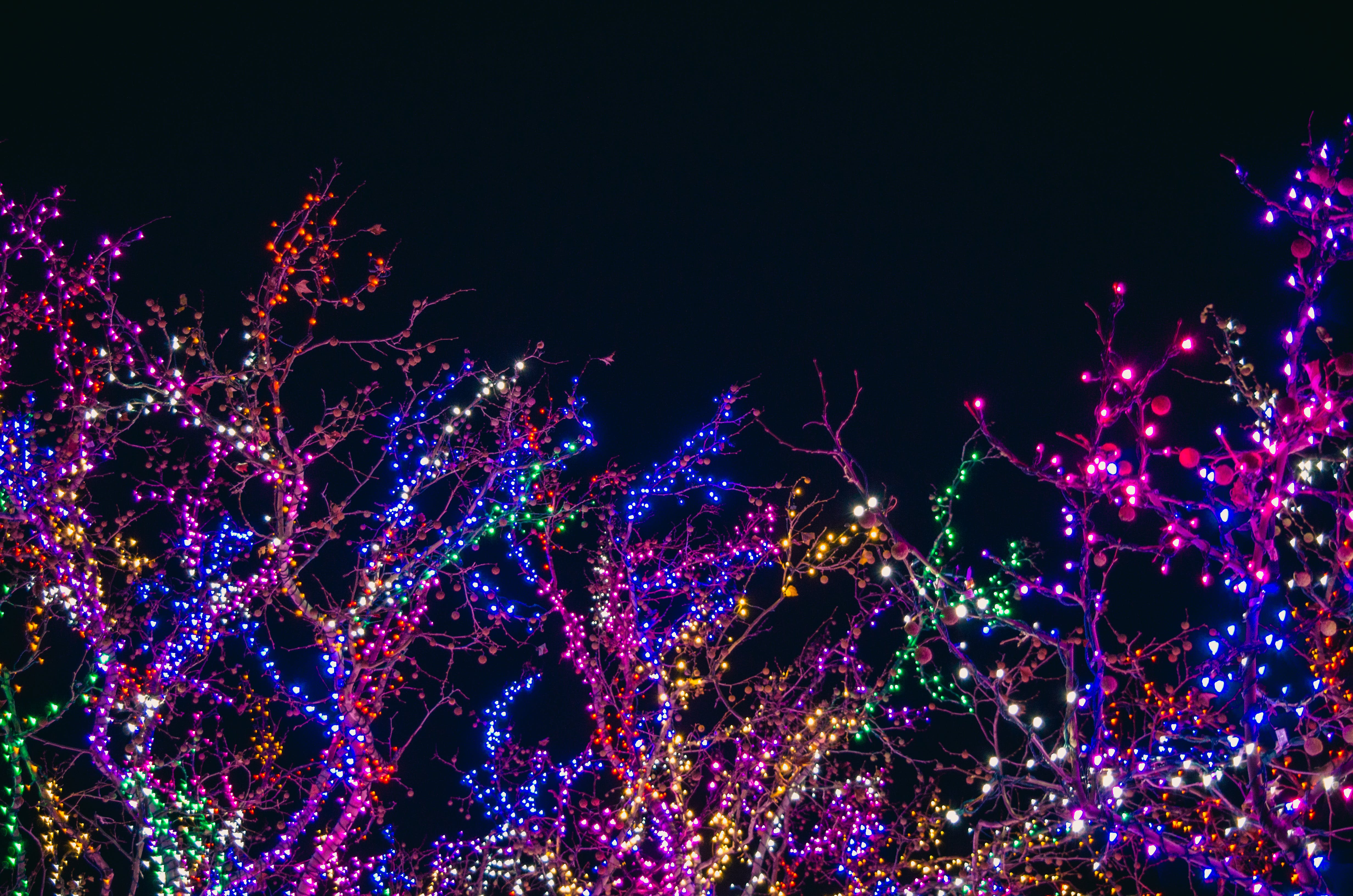 Alberi con luci natalizie colorate, 4928x3264 Ultra HD, 4K TV