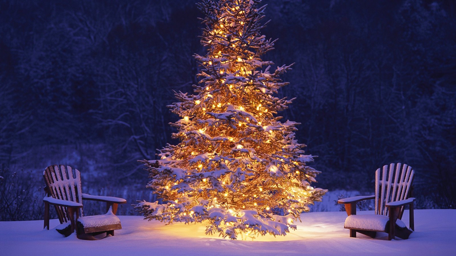 Albero di Natale illuminato nella neve, 1600x900 HD, Laptop