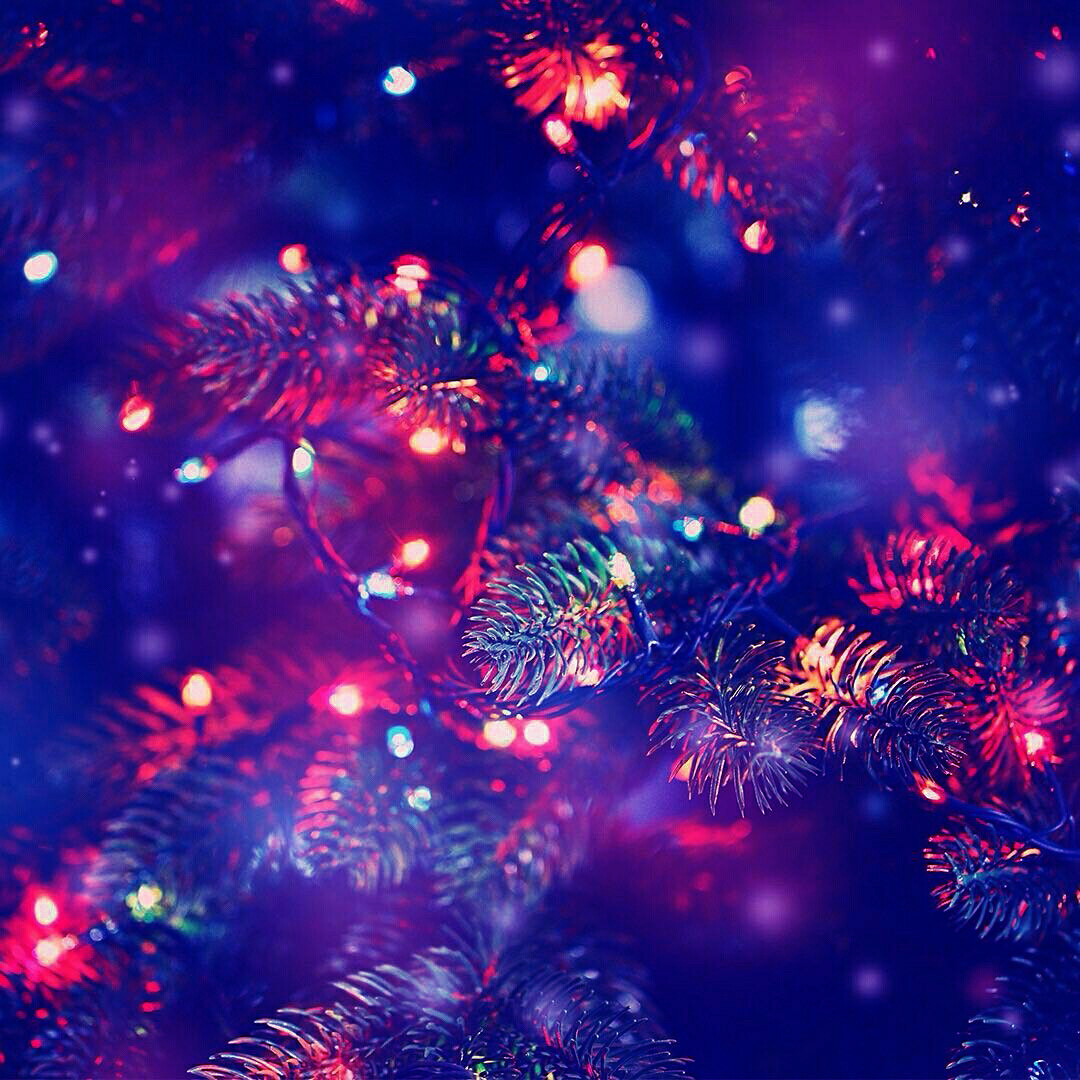 Rami di abete con luci natalizie, 1080x1080 HD, PC