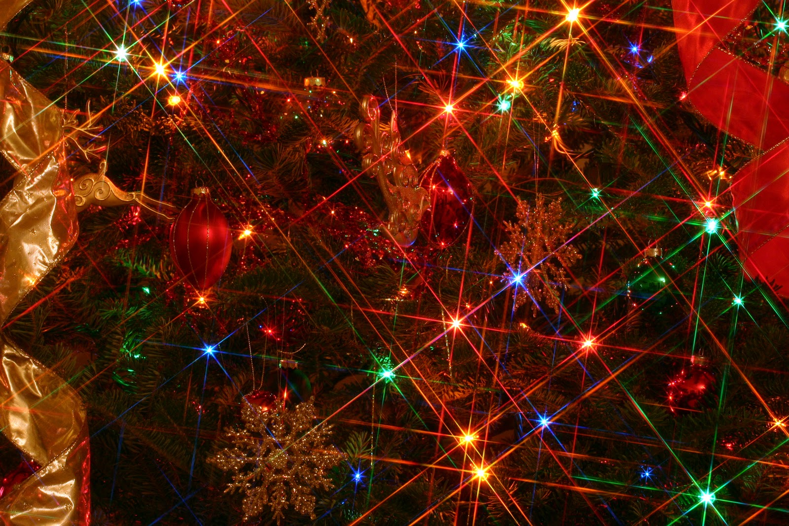 Luci di Natale colorate sull'albero, 1600x1067 HD, Laptop