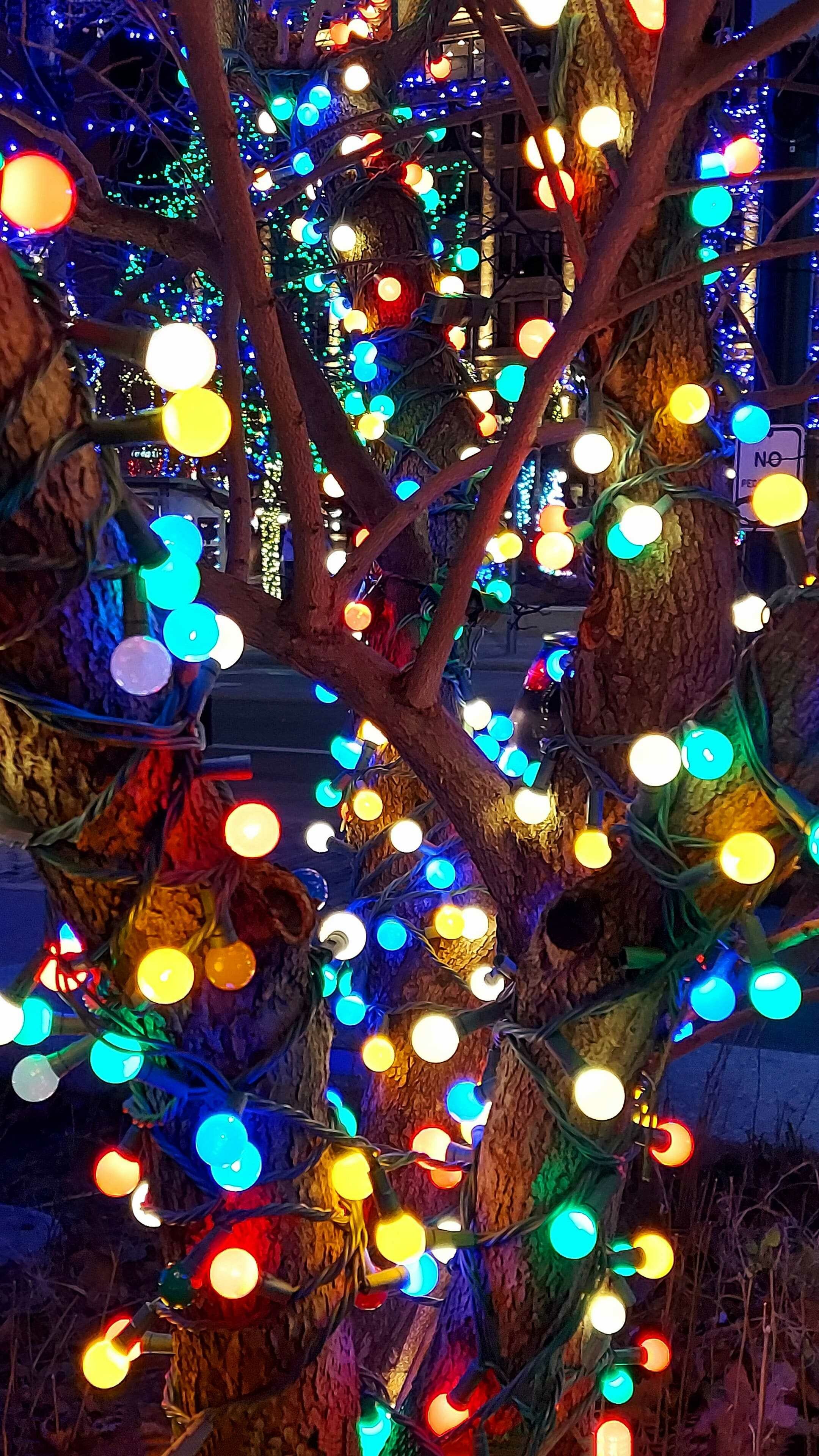 Albero con luci di Natale, 2160x3840 Full HD Verticale, iPhone