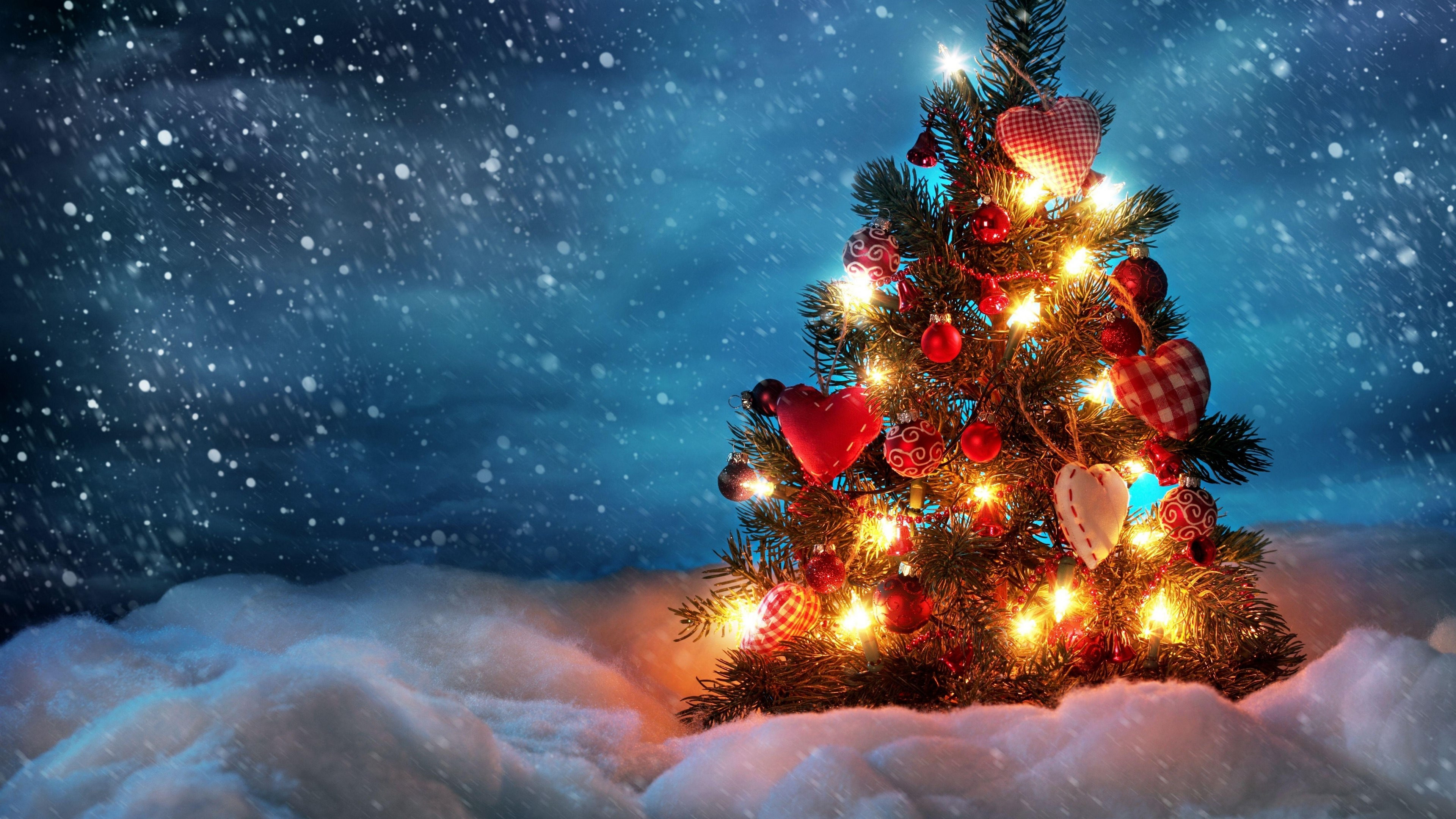 Albero di Natale con luci, 3840x2160 4K, Desktop 4K