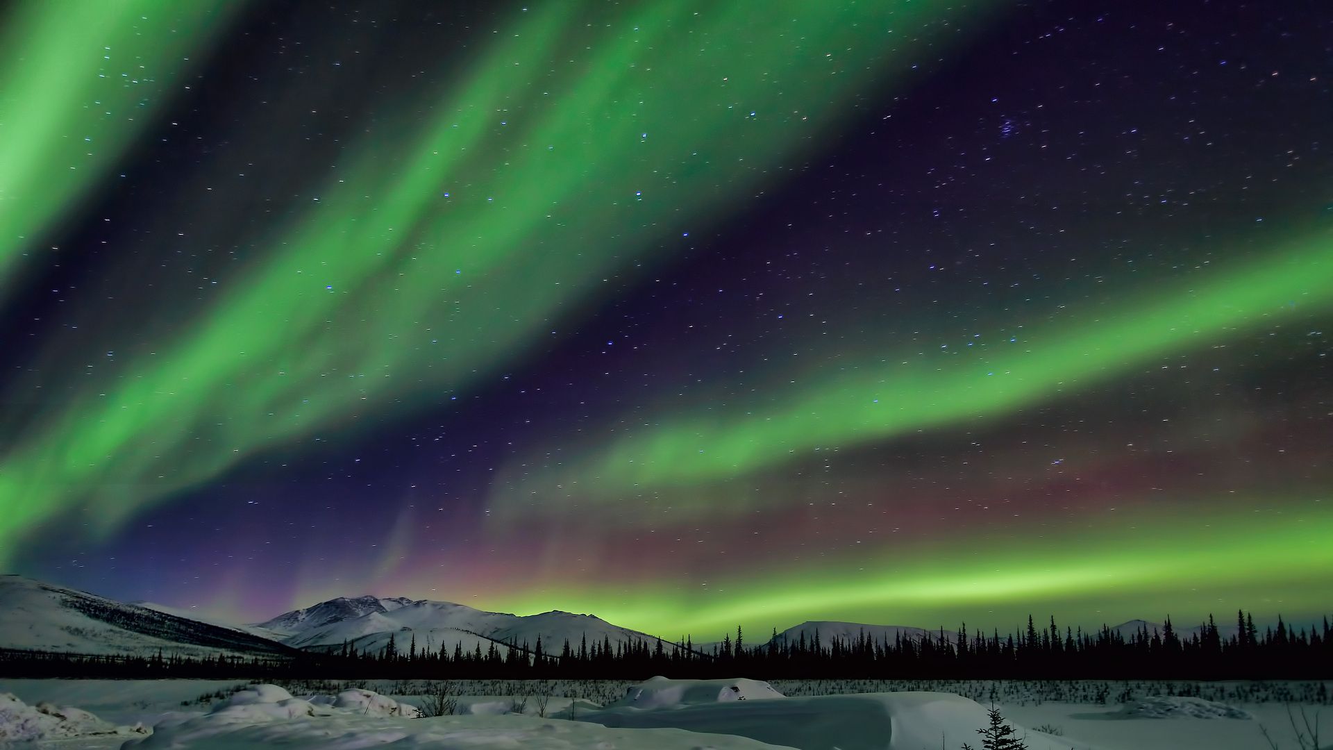 Sfondo astratto verde bokeh luci, 1920x1080 Full HD 1080p, PC