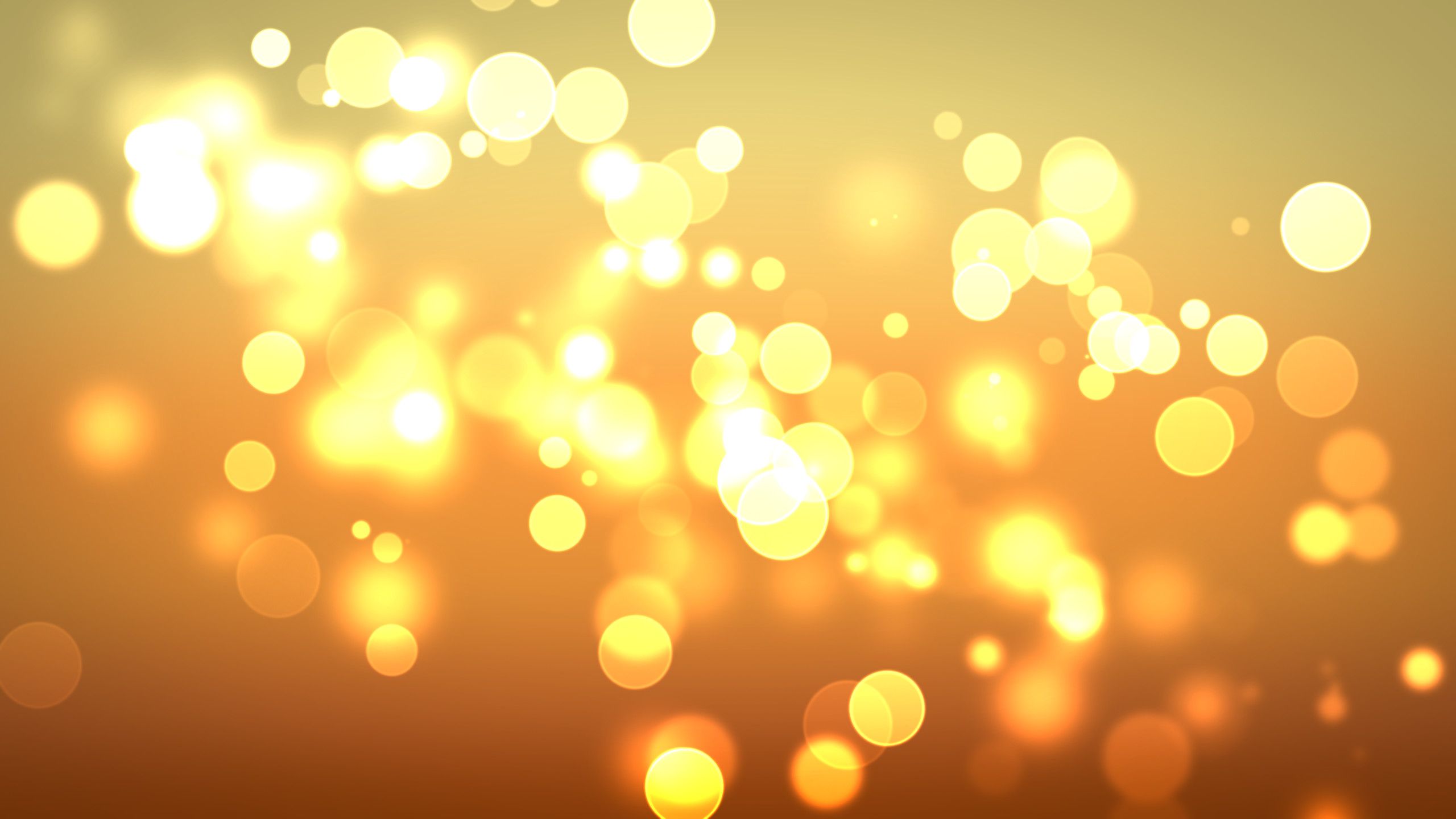 Luci dorate bokeh sfocate, 2560x1440 2K QHD, PC