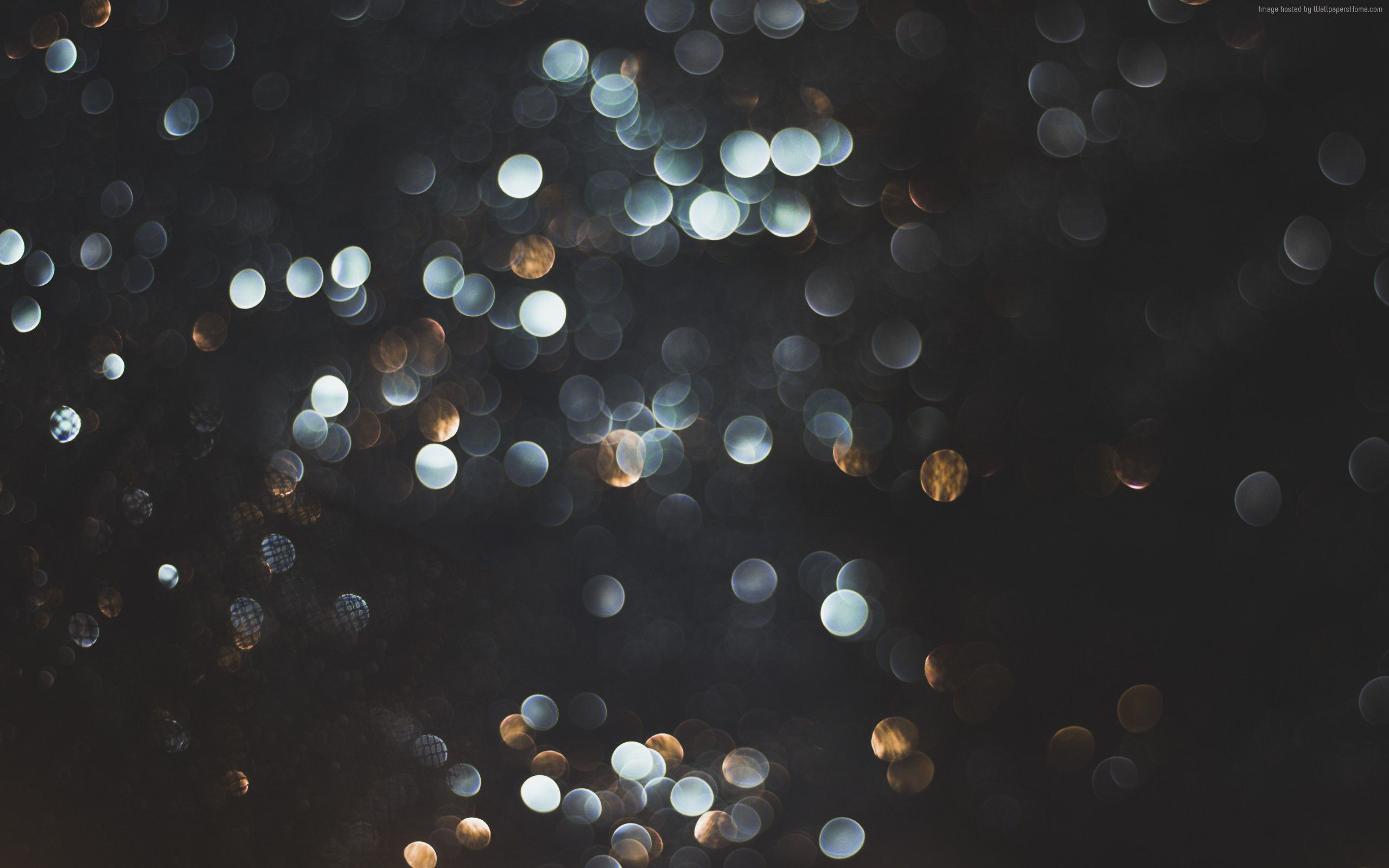 Bokeh luci scintillanti scuro, 2560x1600 WQXGA, PC