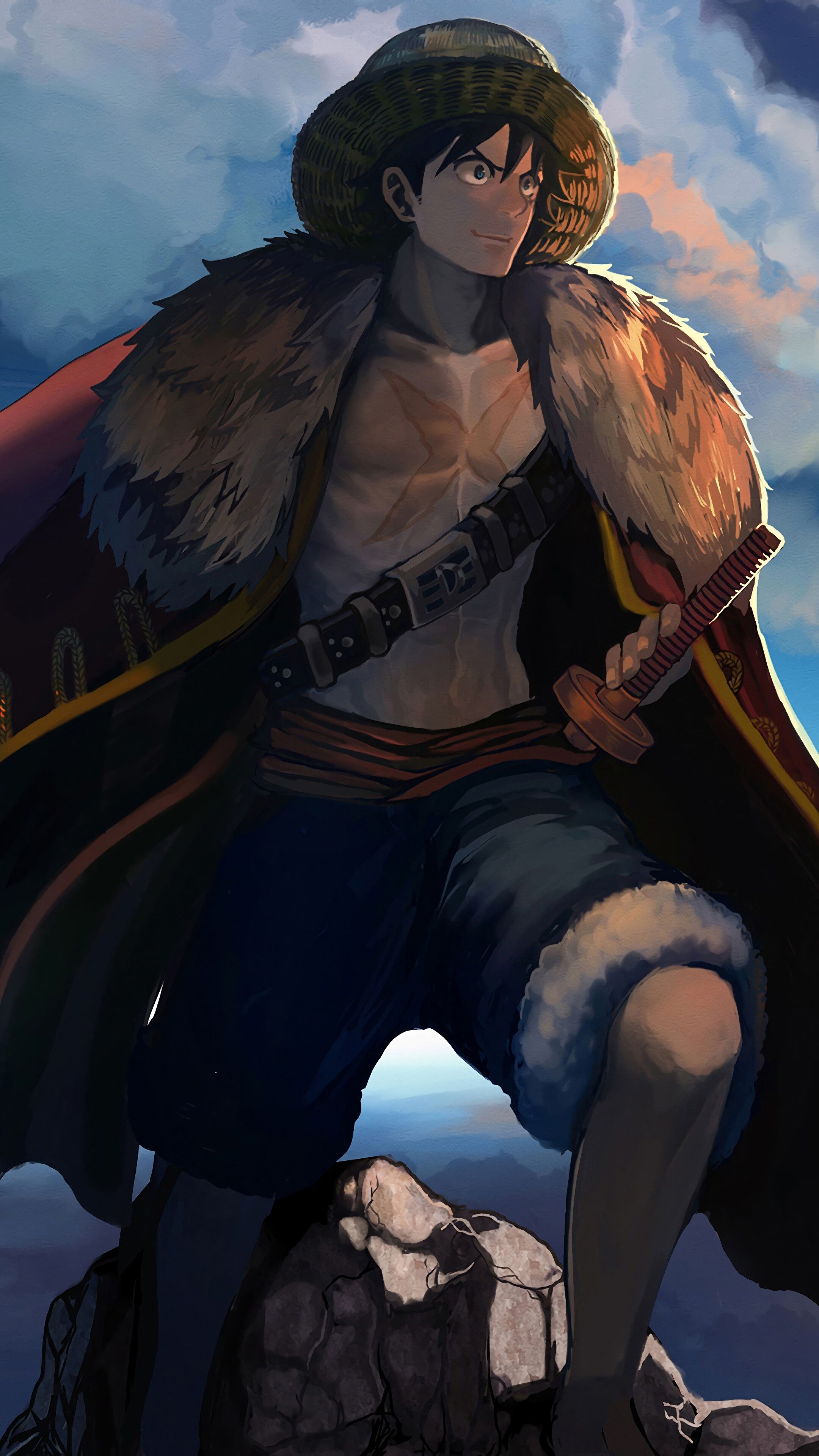 Luffy One Piece cappotto pelliccia, 2160x3840 Verticale, Mobile