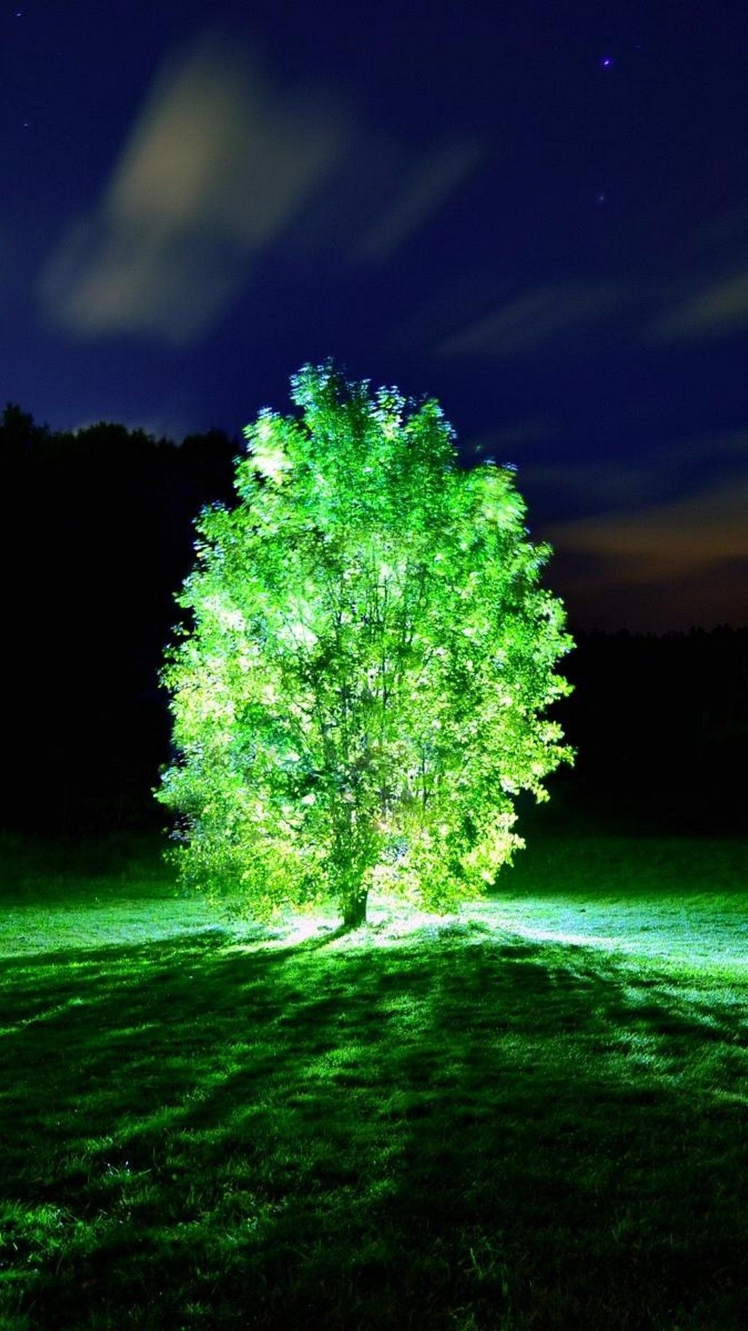 Albero illuminato di verde notte, 1080x1920 Verticale, Samsung Galaxy
