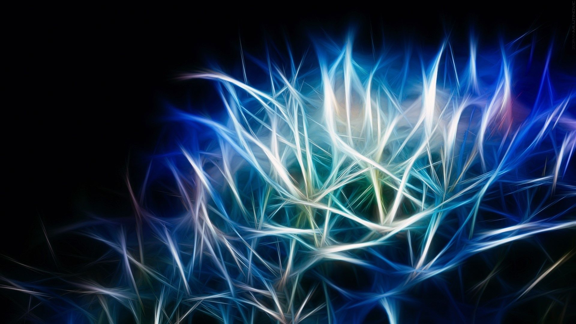 Filamenti luminosi blu bianco, 1920x1080 1080p, PC